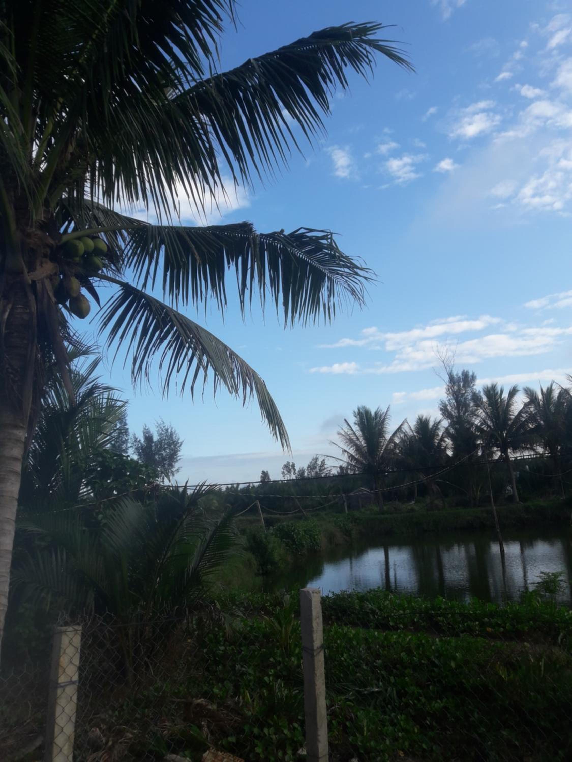 Loc Khang Homestay