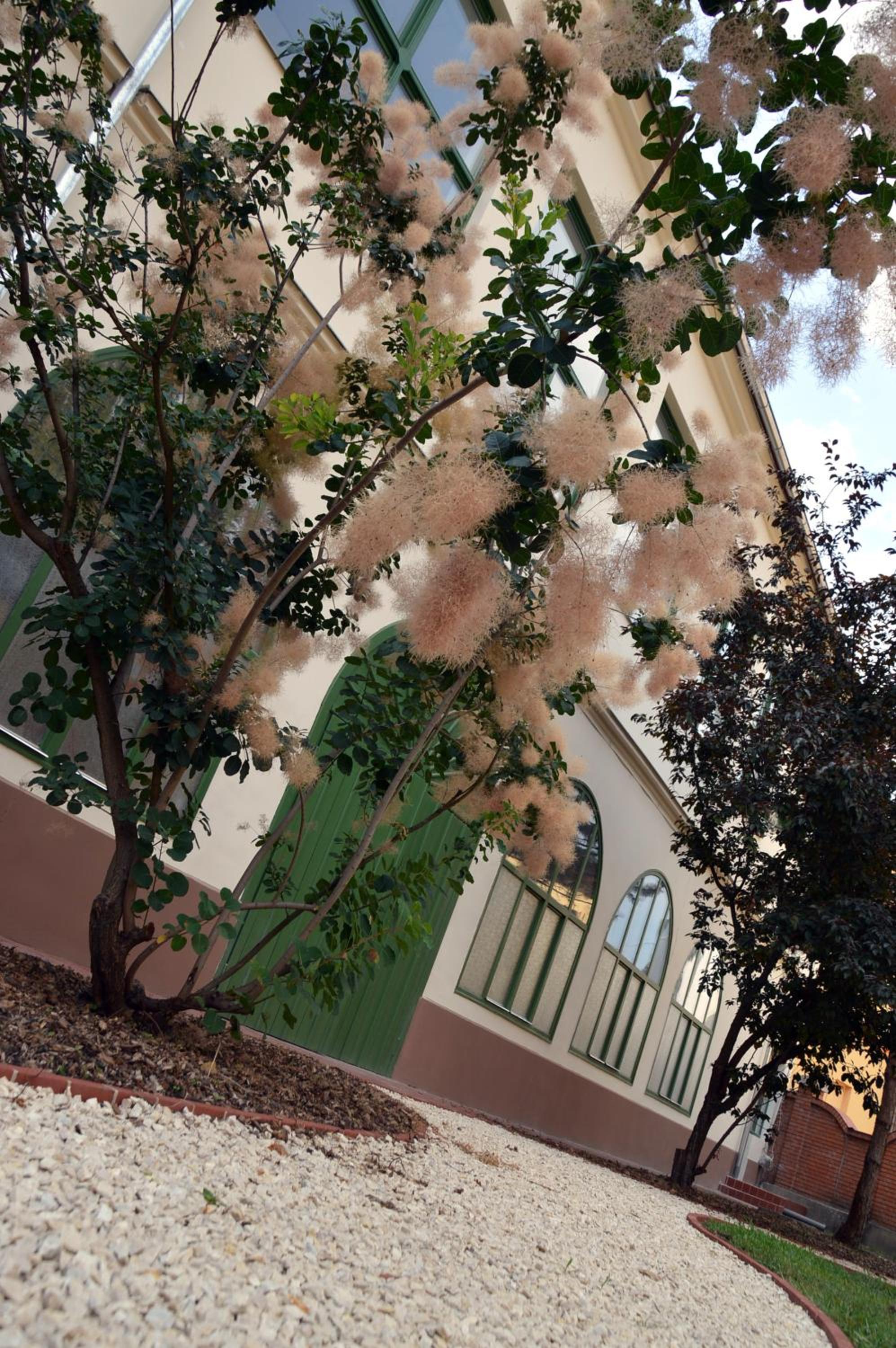 Photo 48