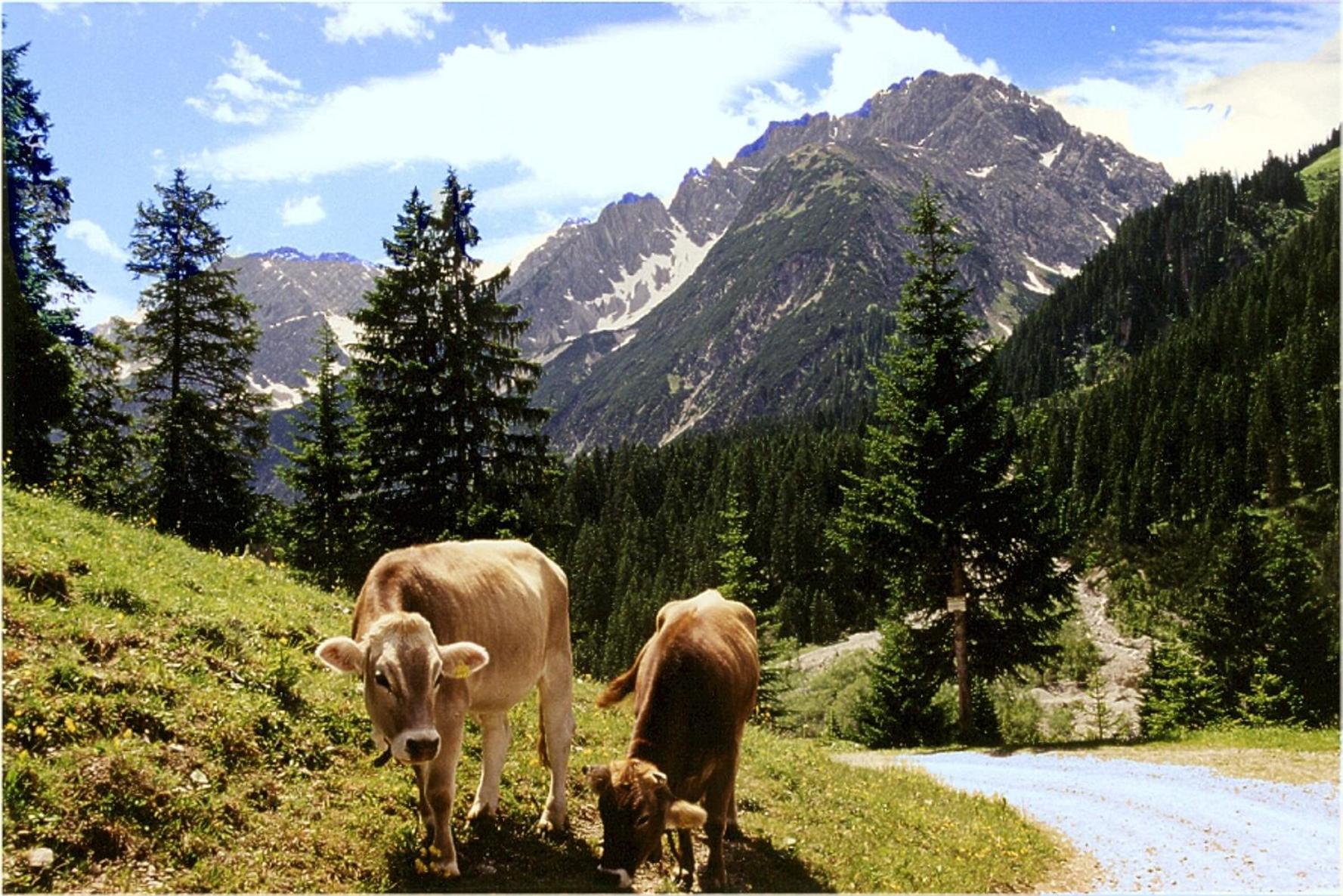 Gasthof Bergheimat