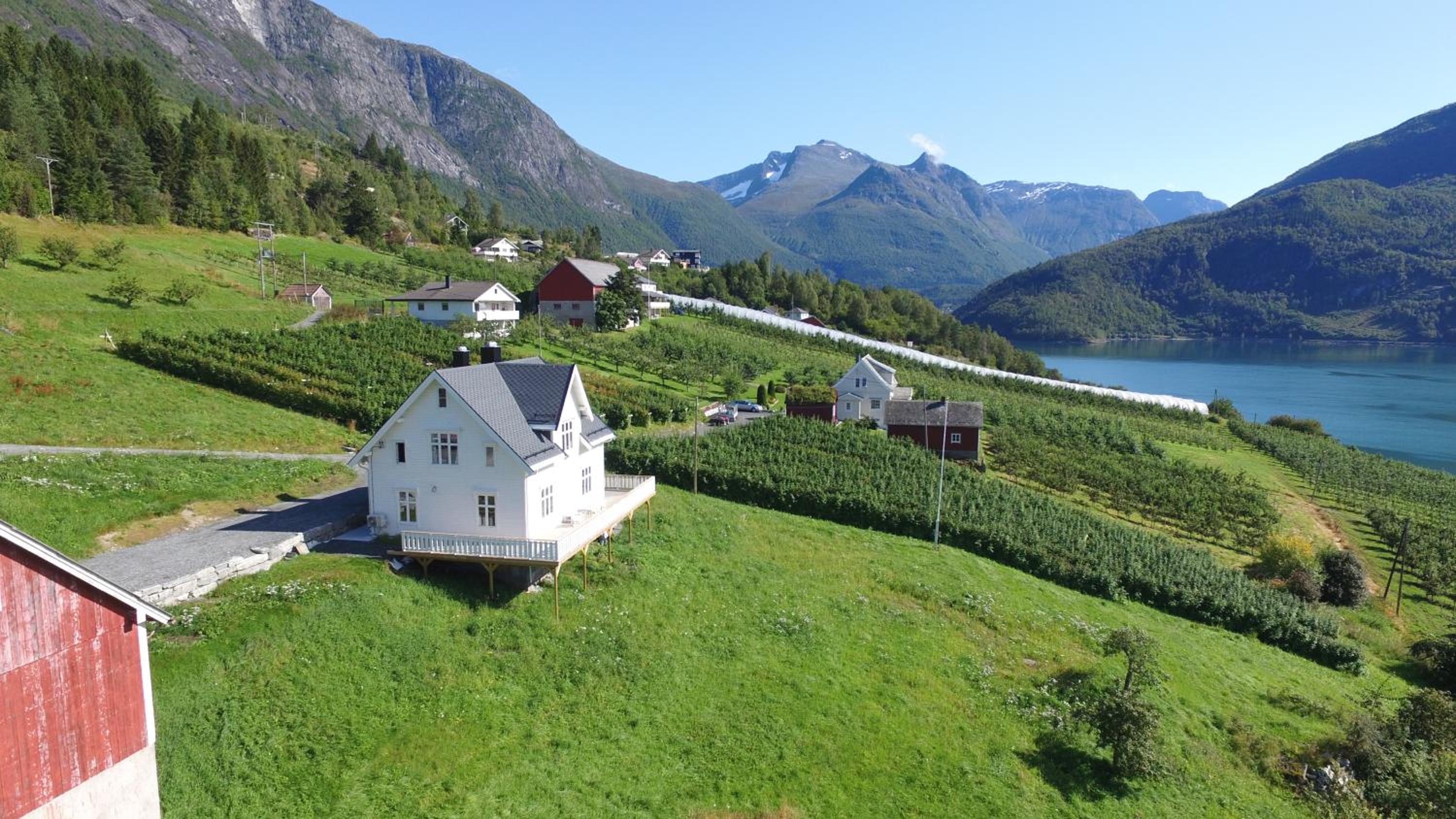 Photo 36