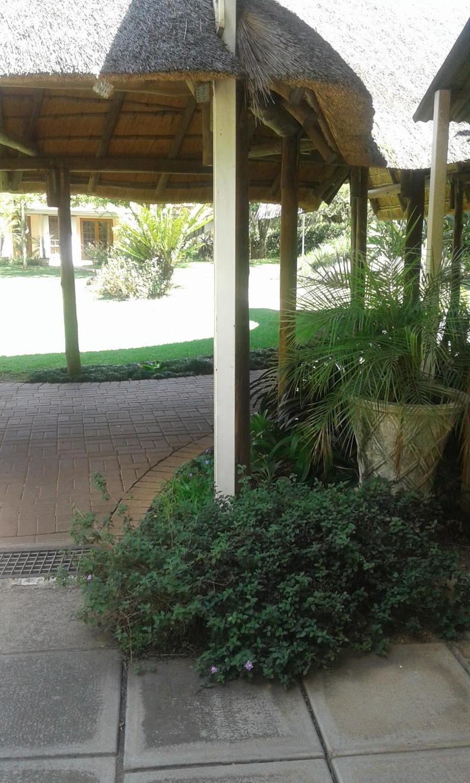 Ascot Inn