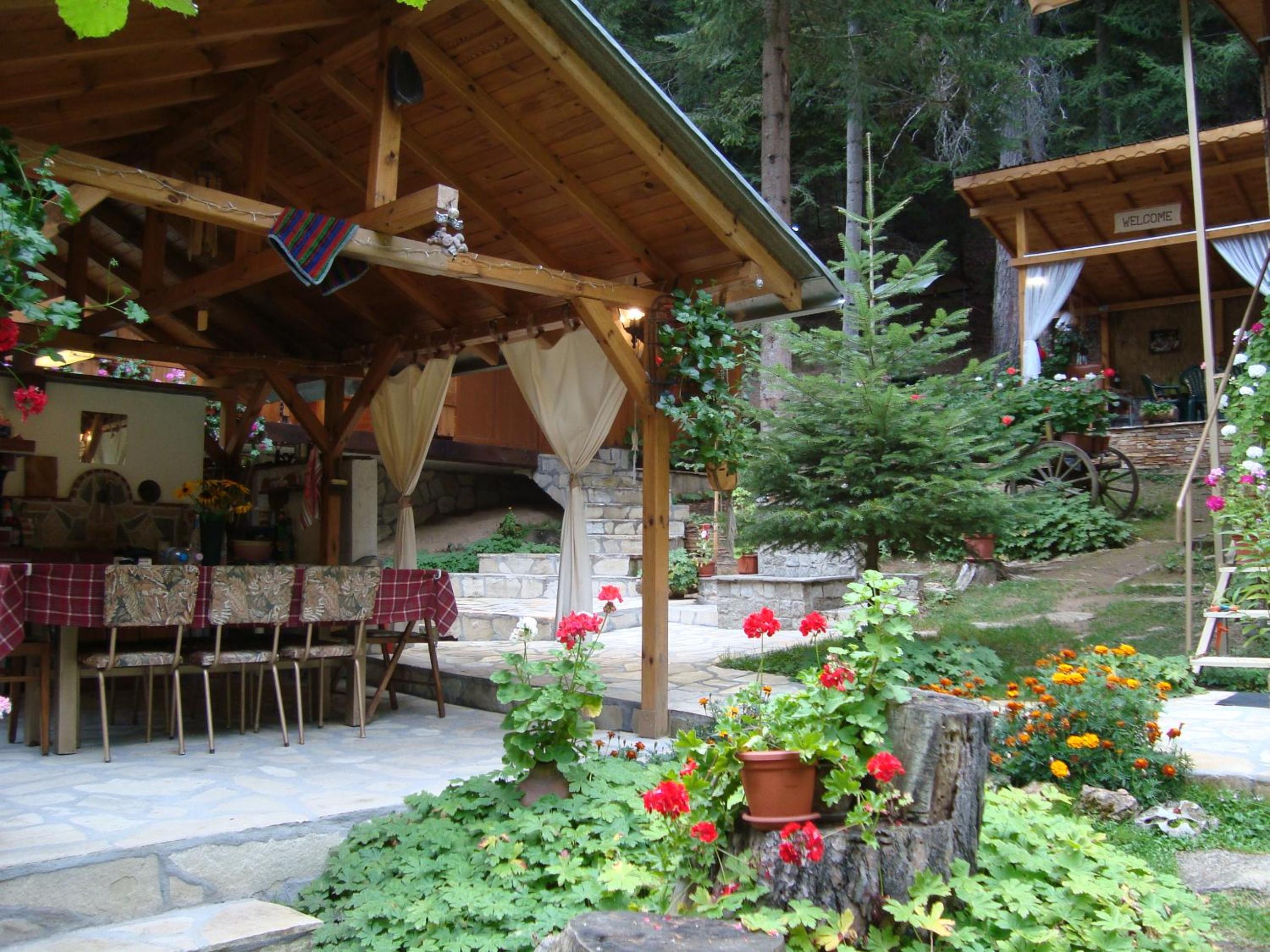 Photo 19