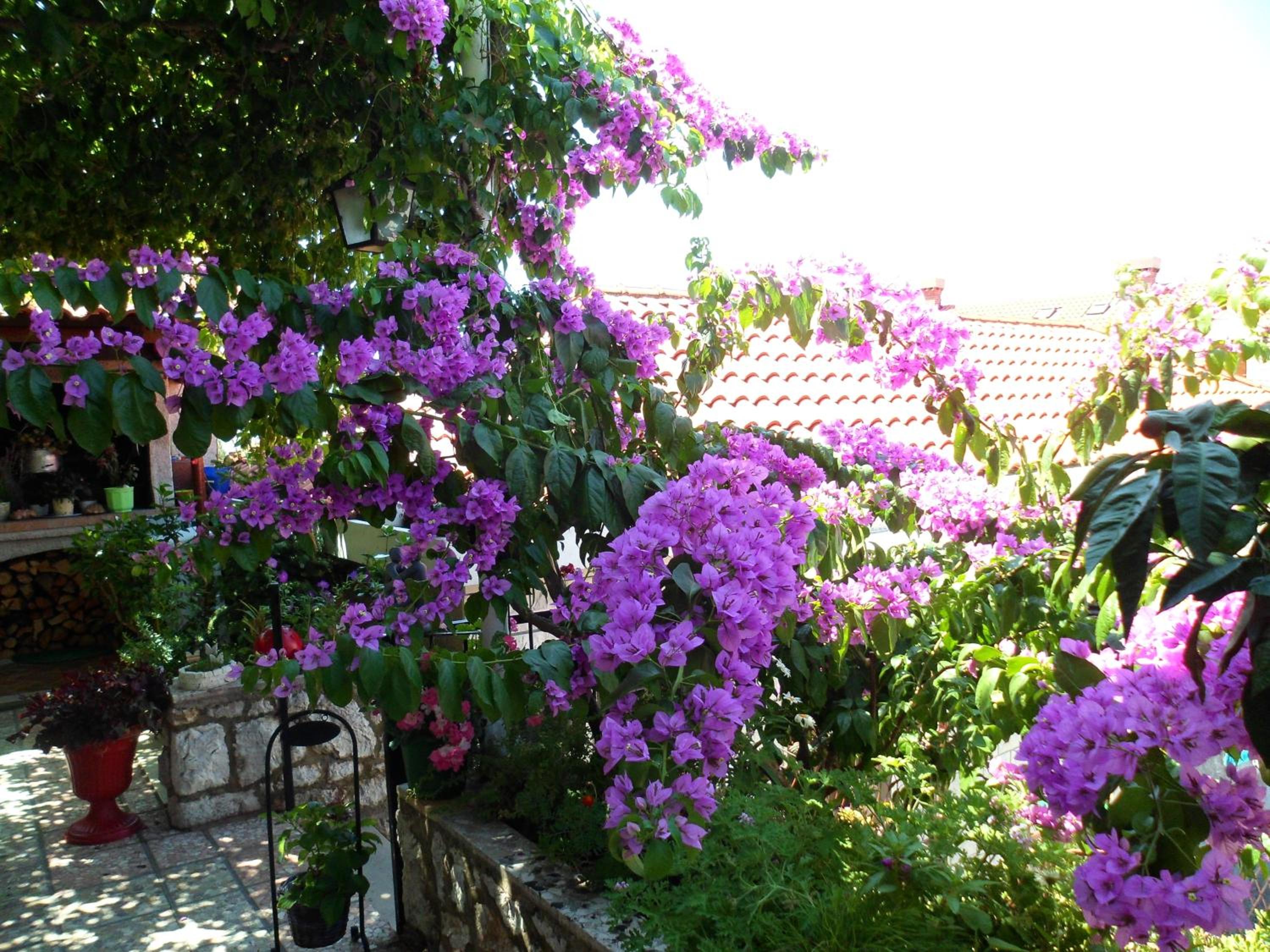 Guesthouse Ivona