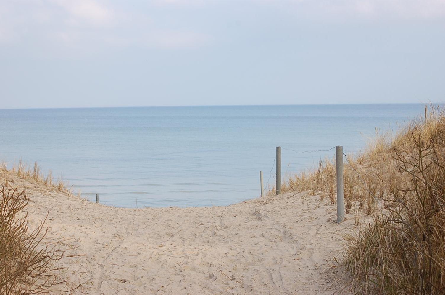 Photo 44