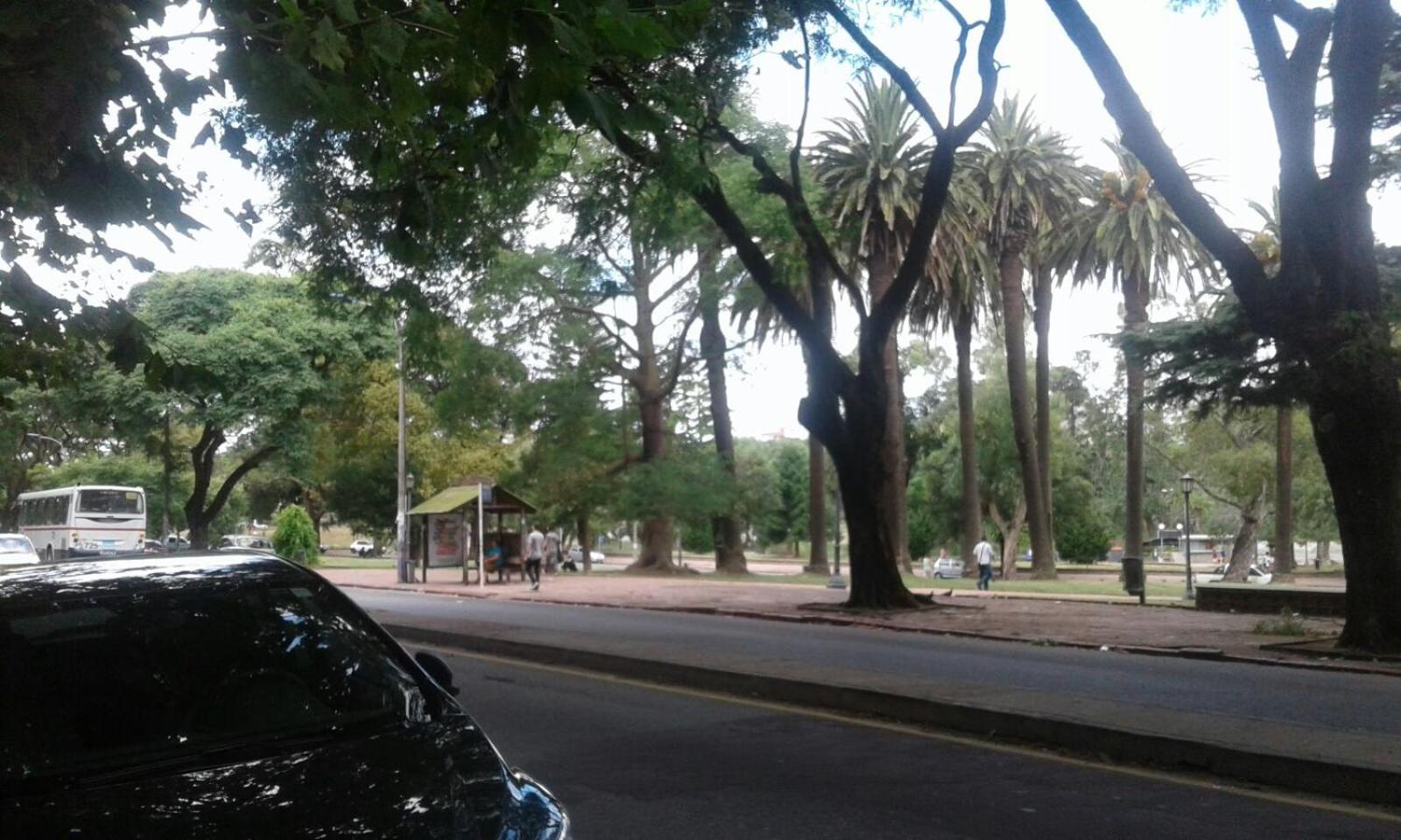 Apartamento Paseo del Lago view 2