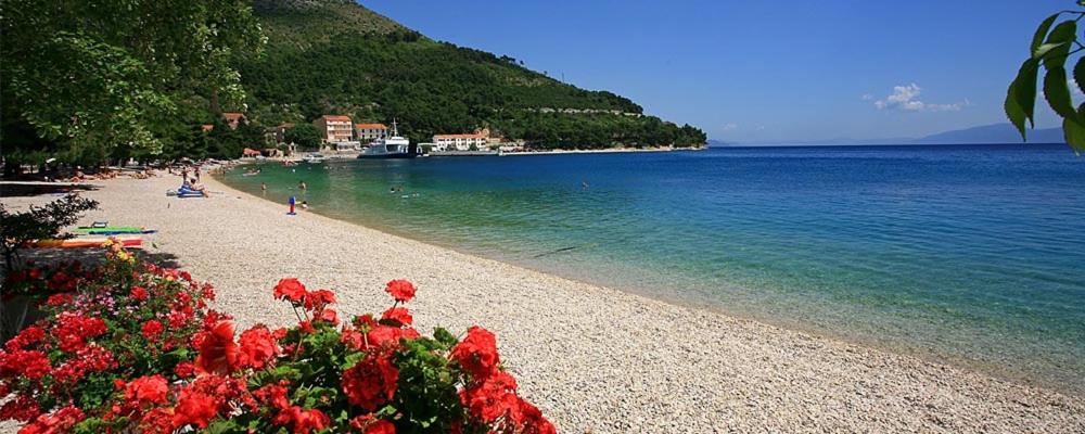 Apartmani Kežić Drvenik view 4