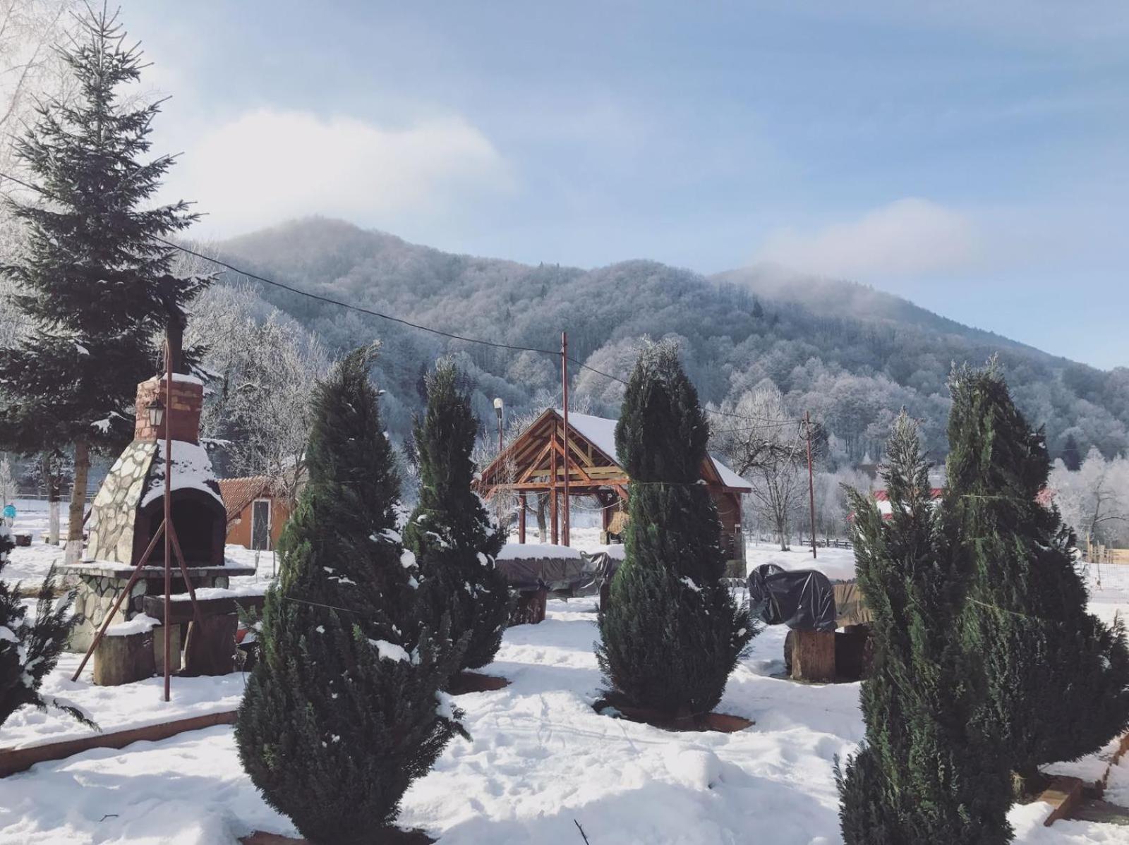 Pensiunea Florina