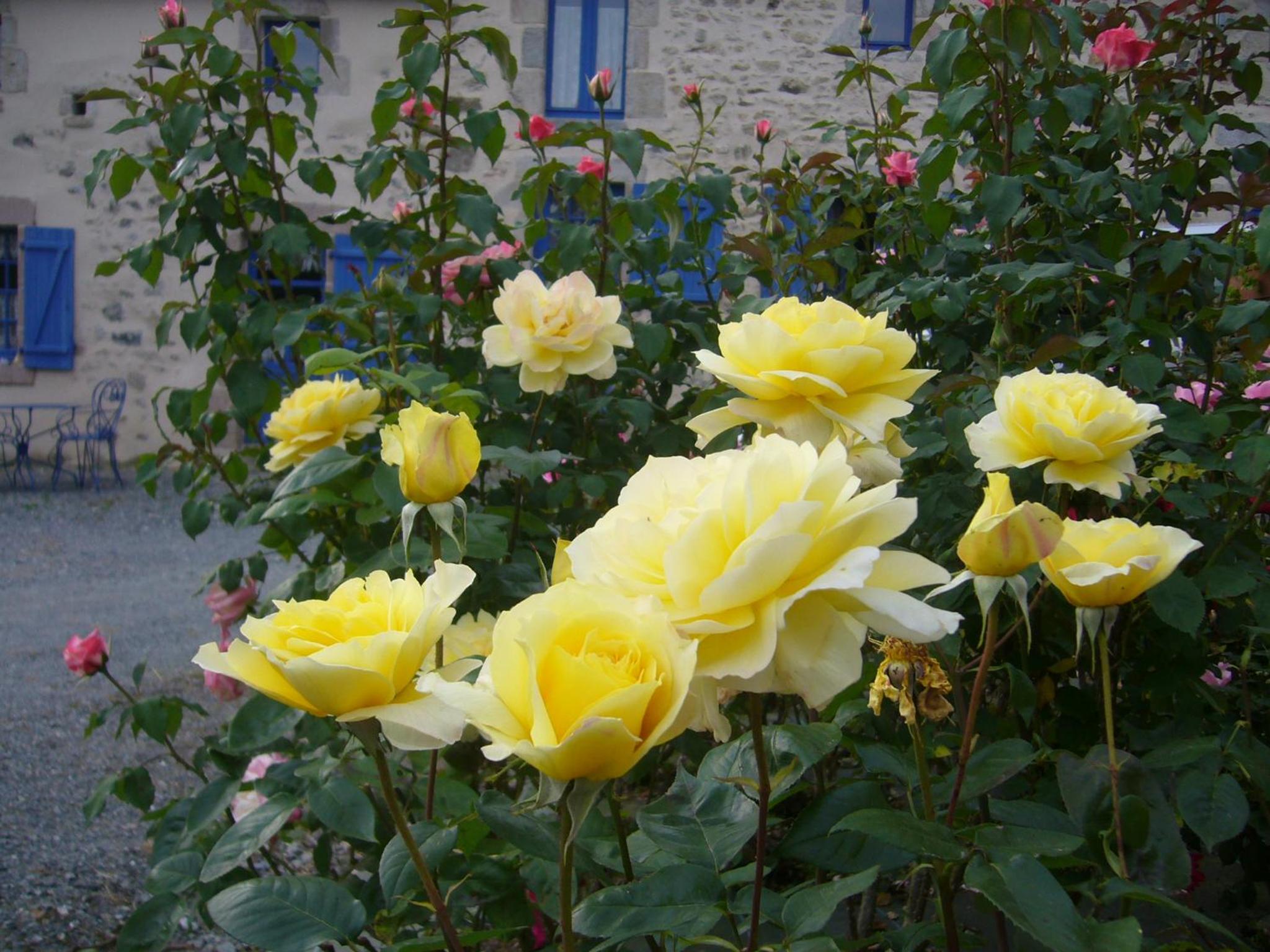Photo 7