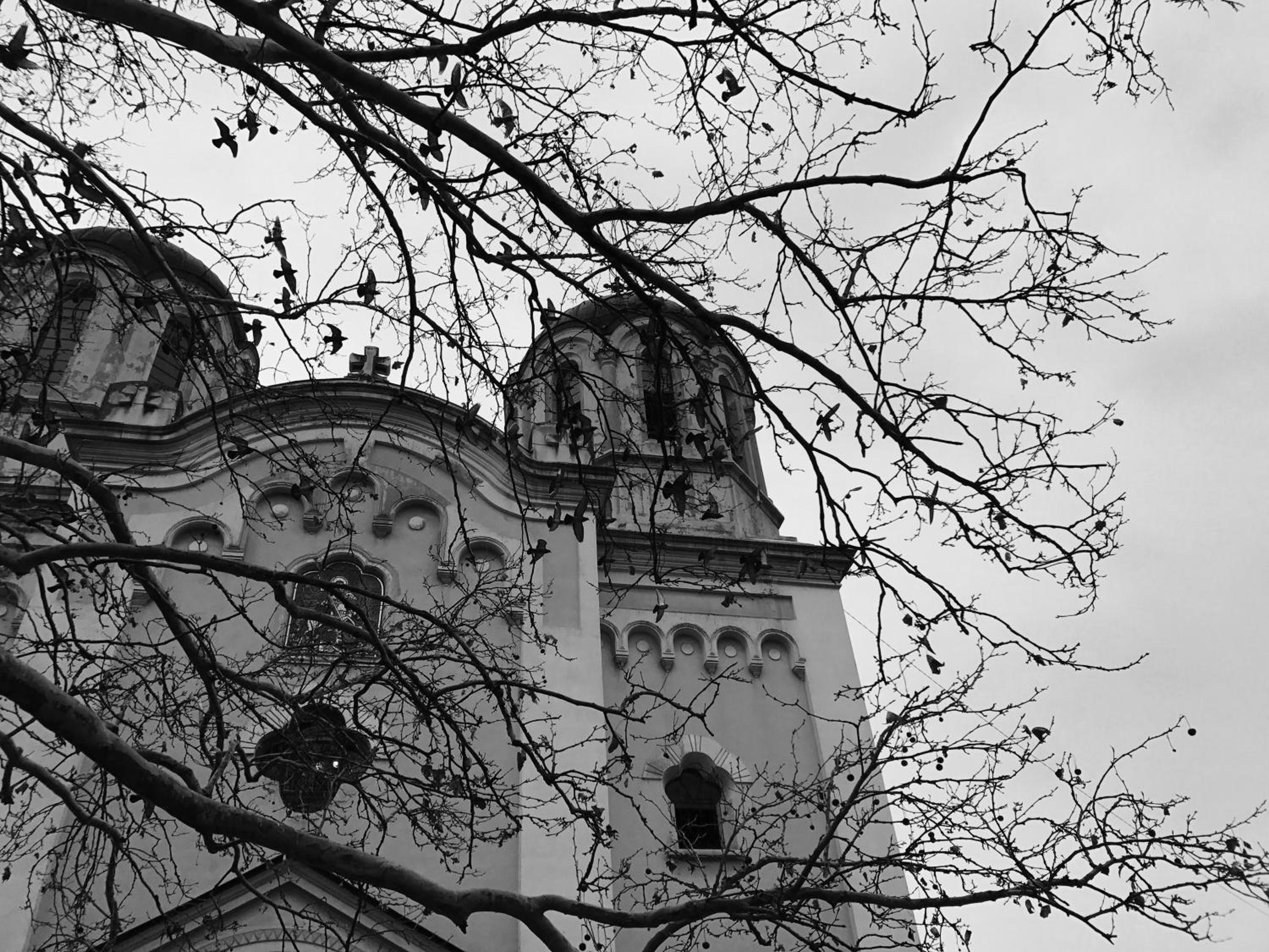Photo 52