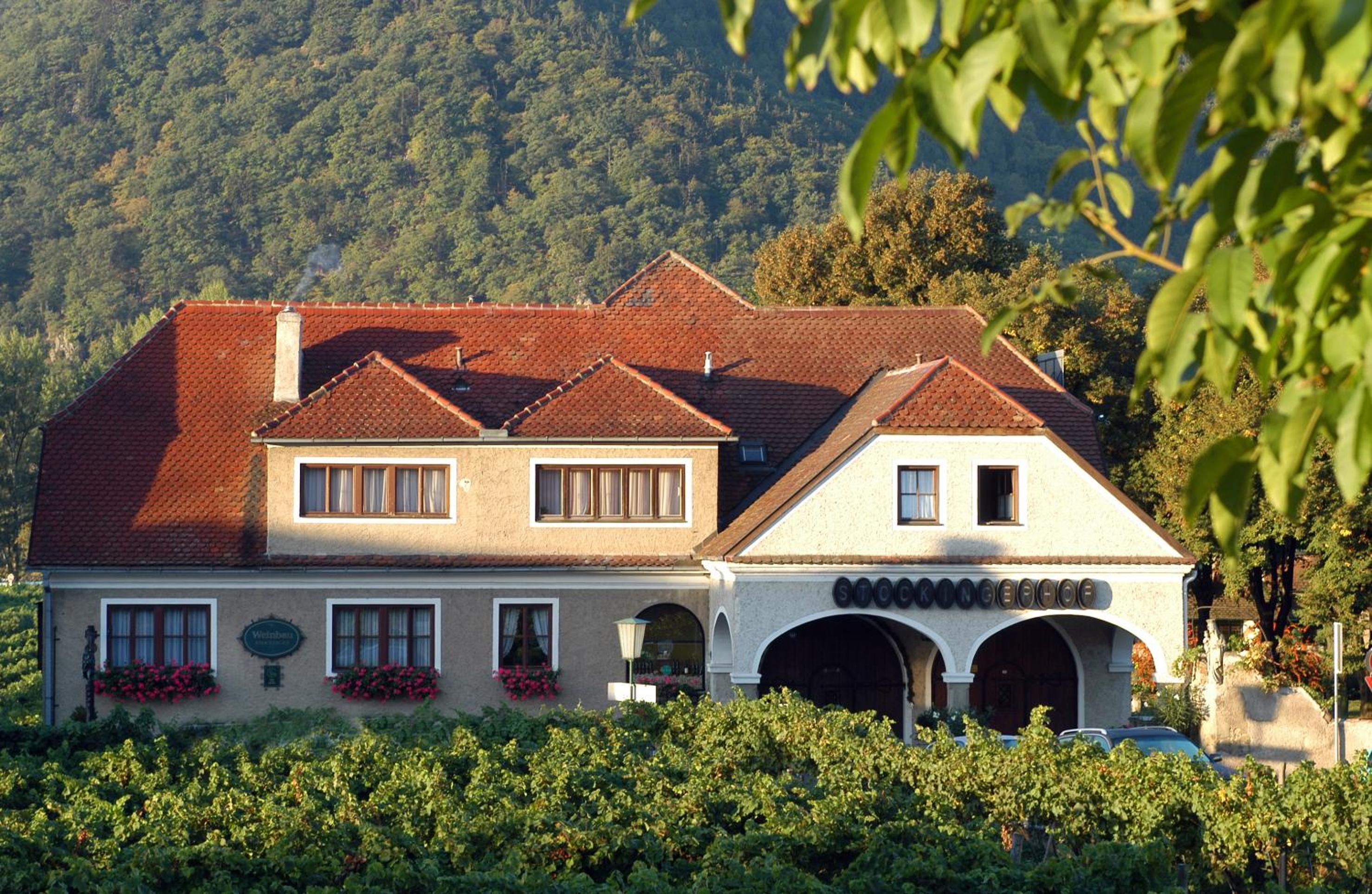 Weingut-Pension Stockingerhof