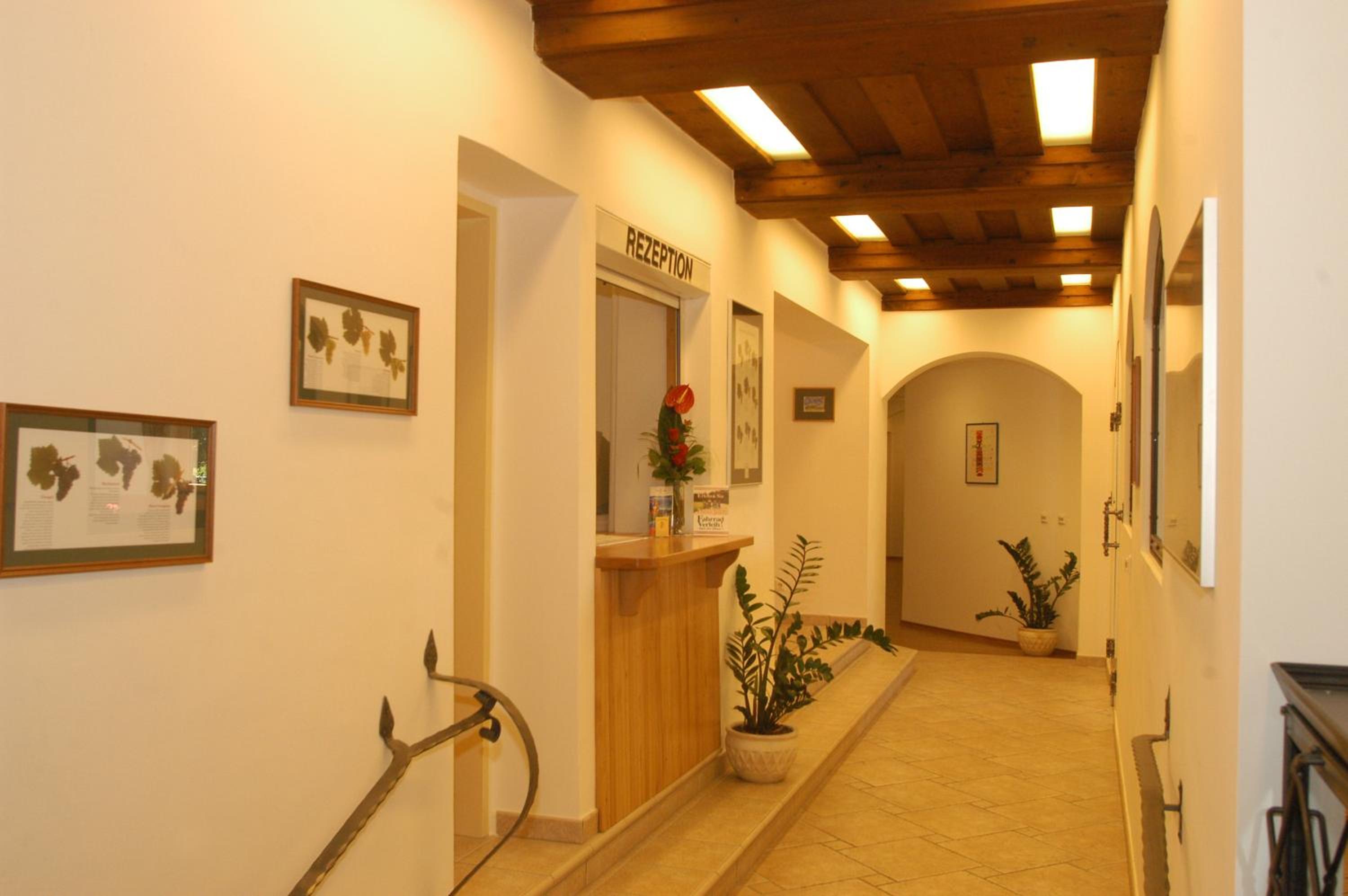 Weingut-Pension Stockingerhof