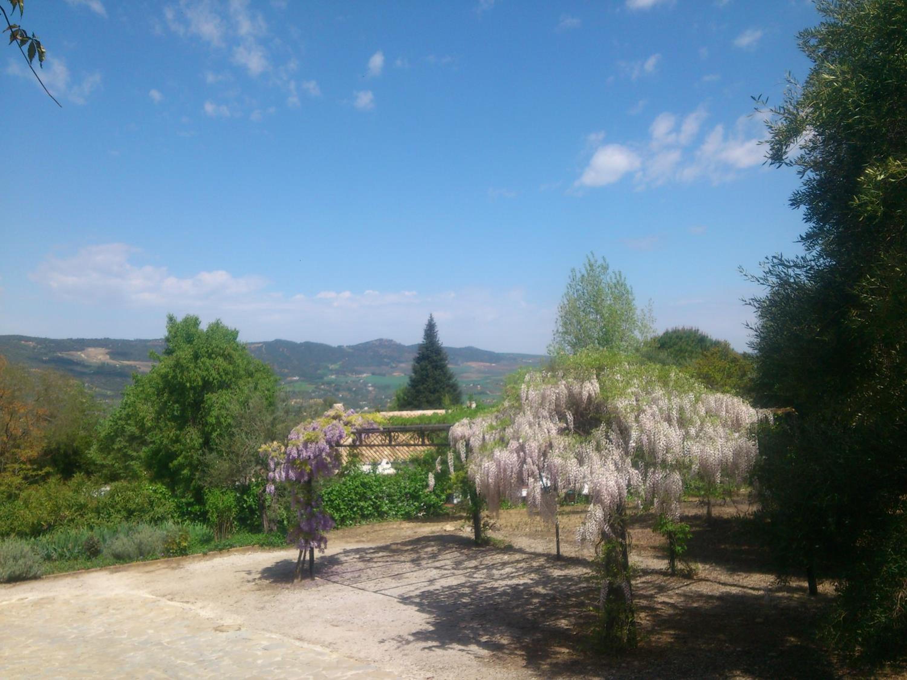 El Campito - CASA RURAL view 2