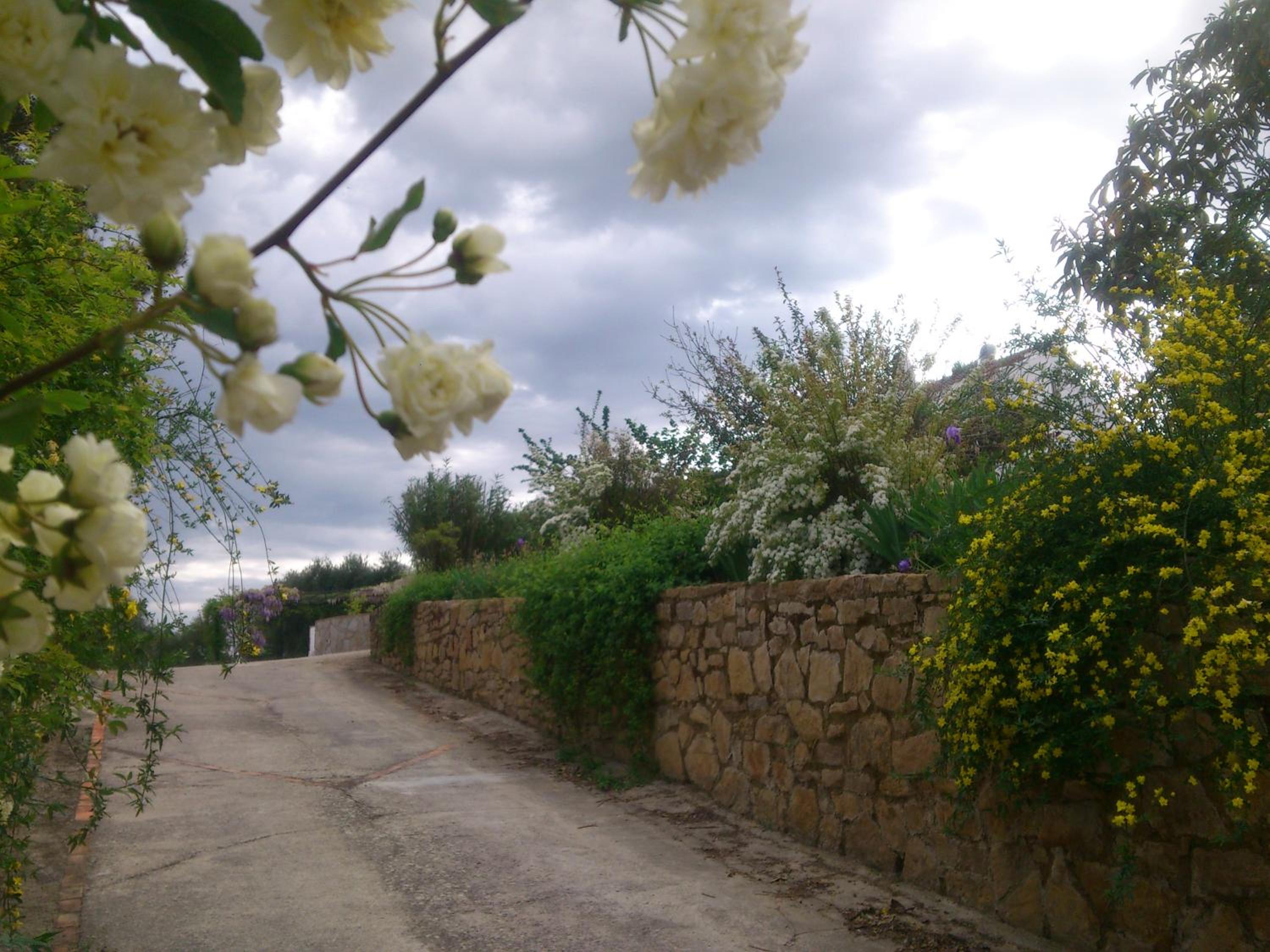 El Campito - CASA RURAL view 3