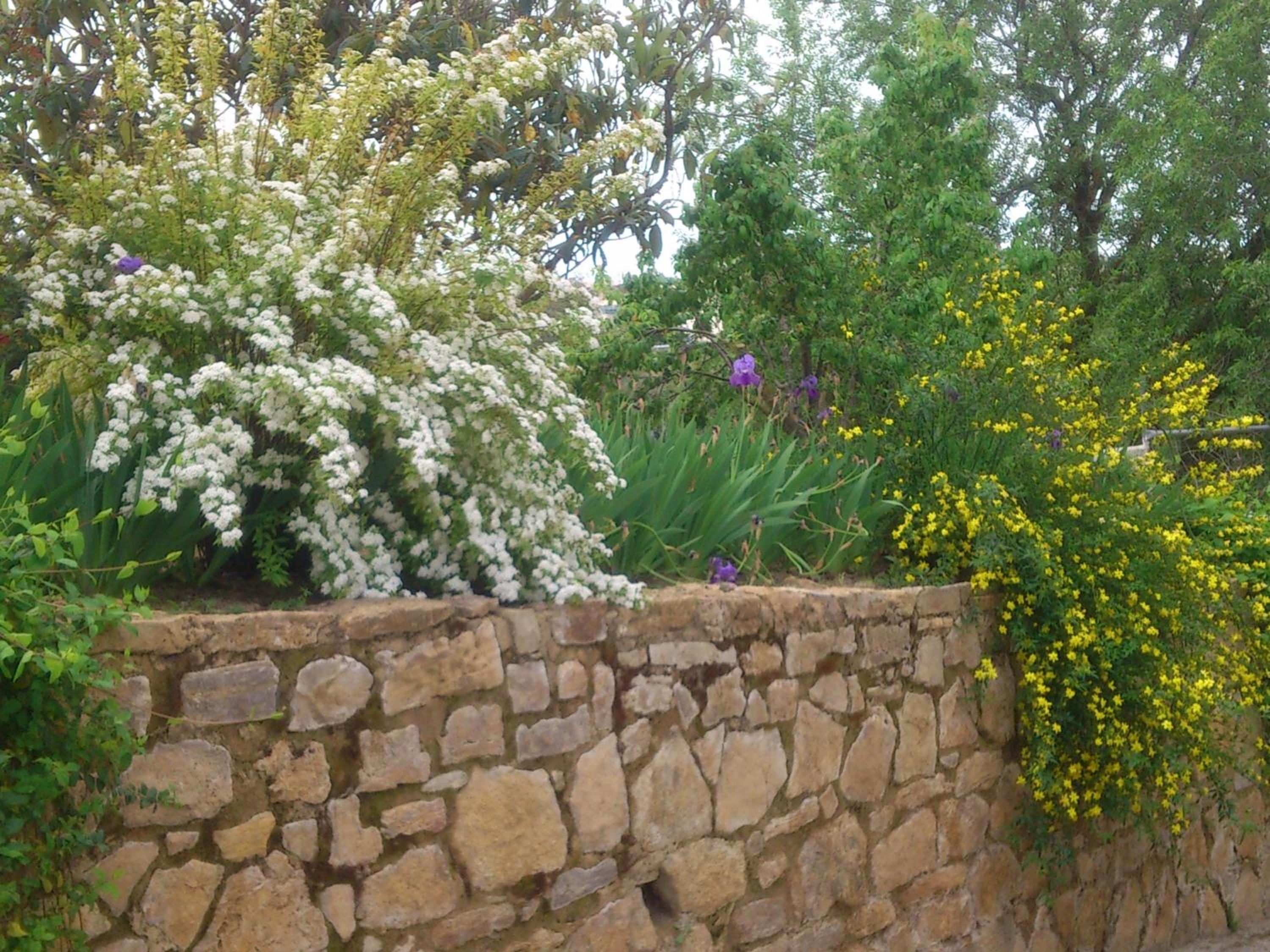 Photo 25