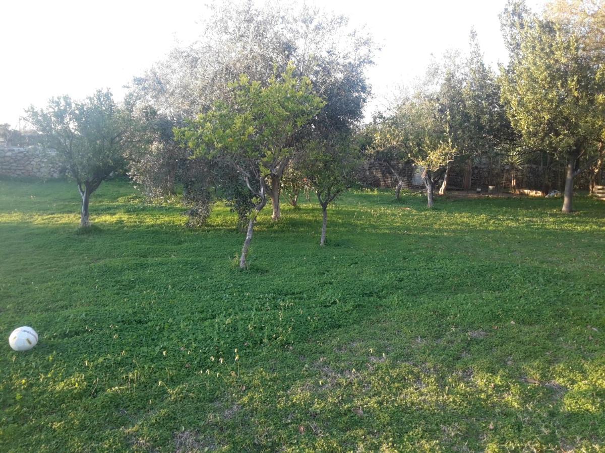 Photo 32