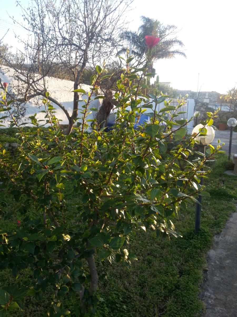 Photo 21