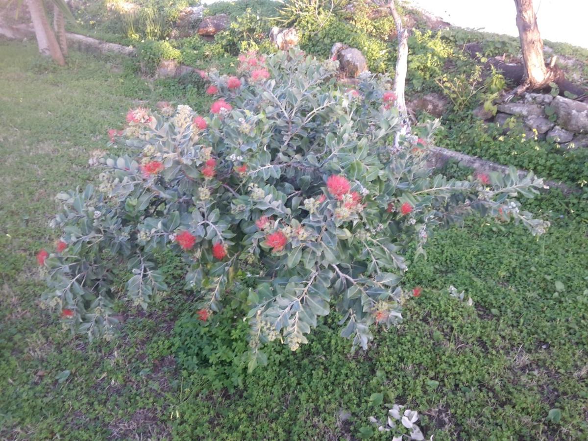 Photo 28