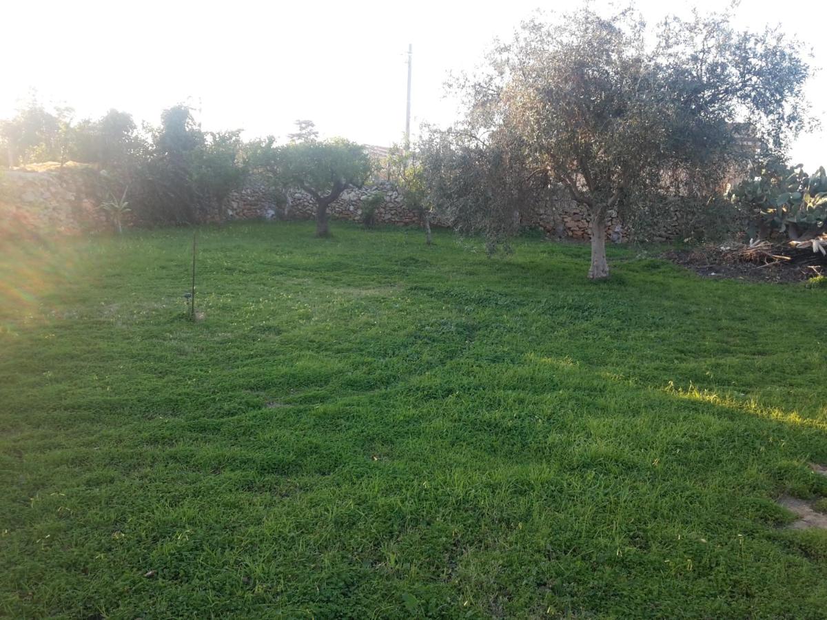 Photo 38