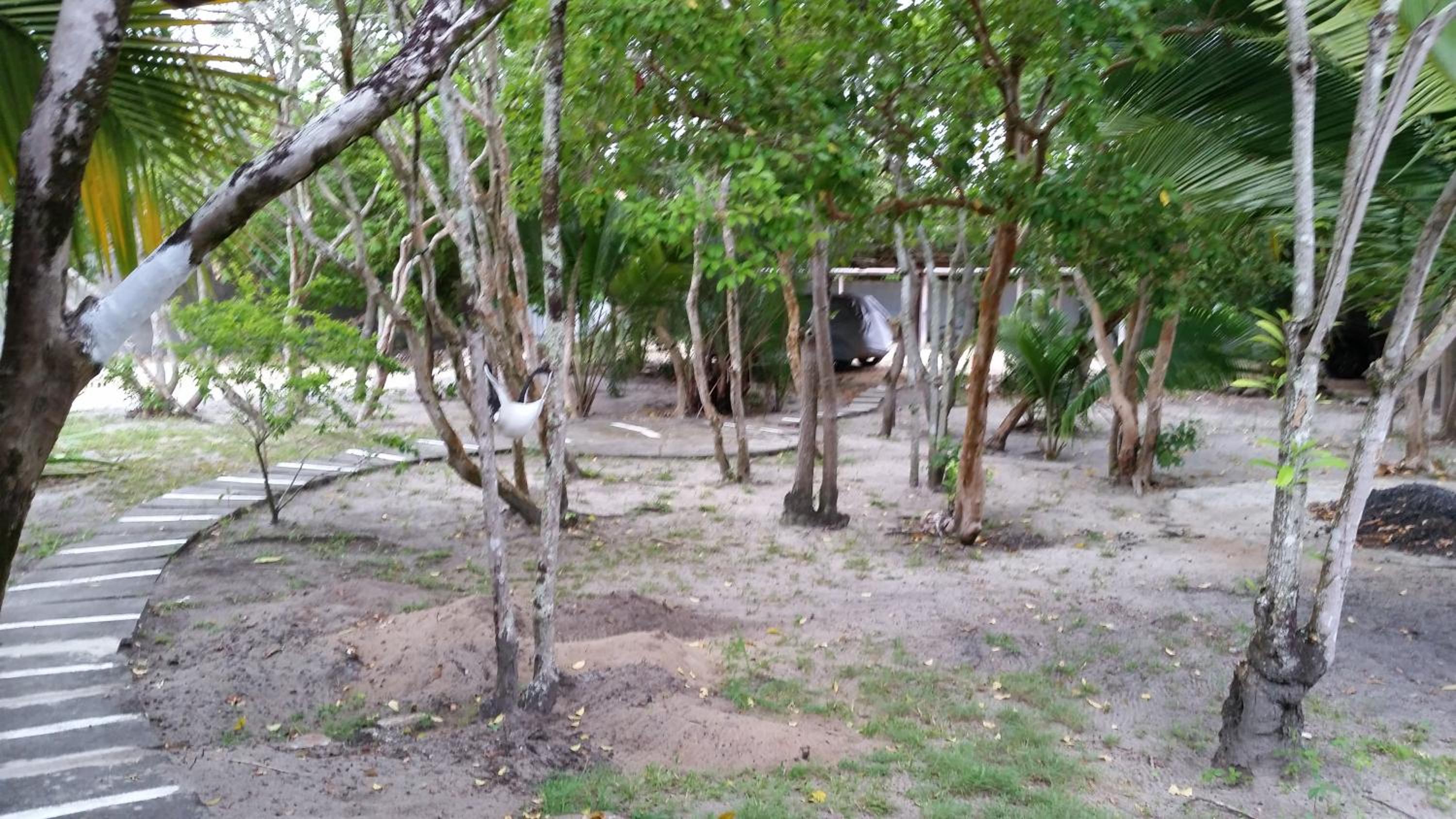 Photo 49