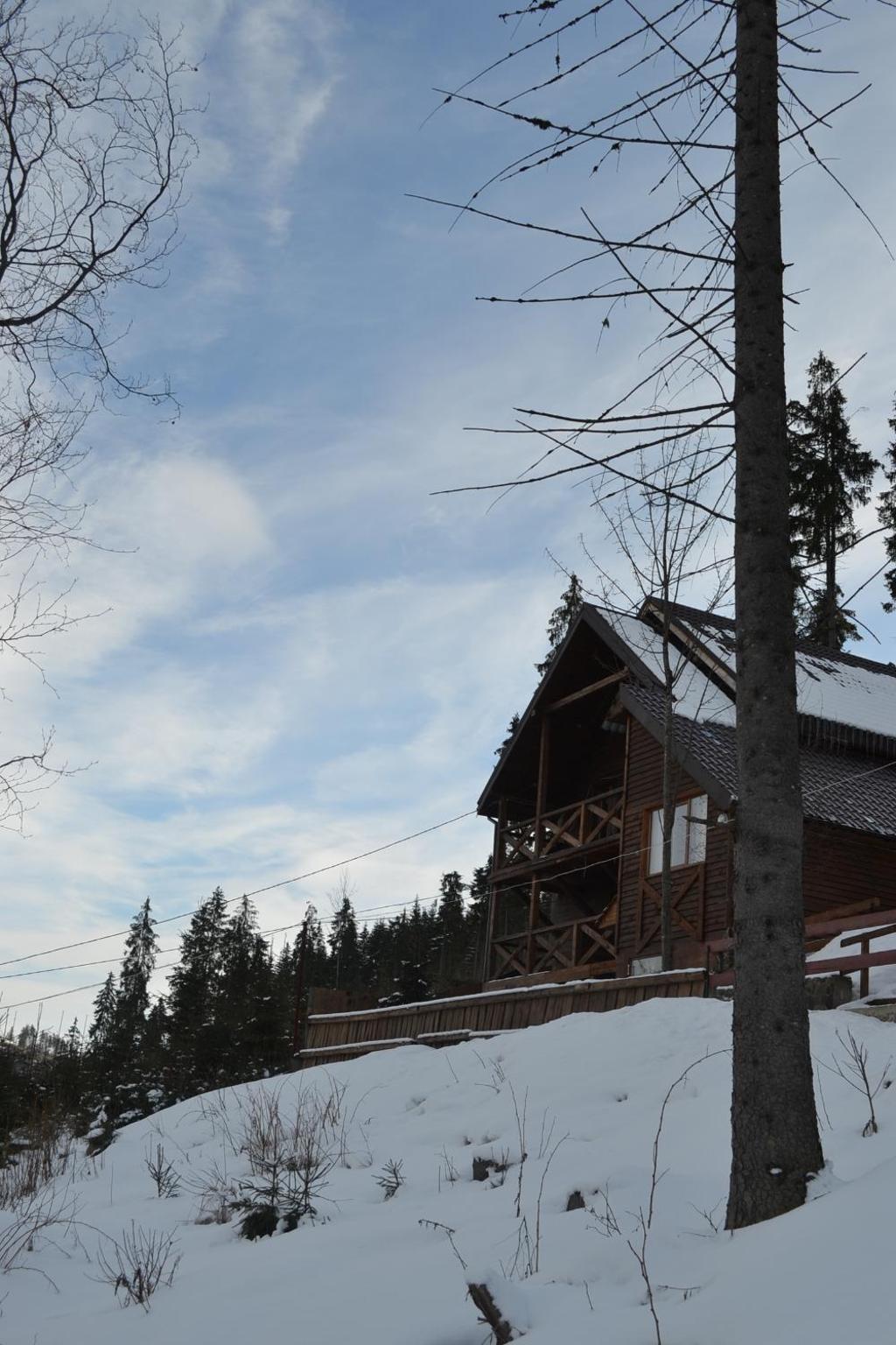 Chalet Shepit Karpat view 5