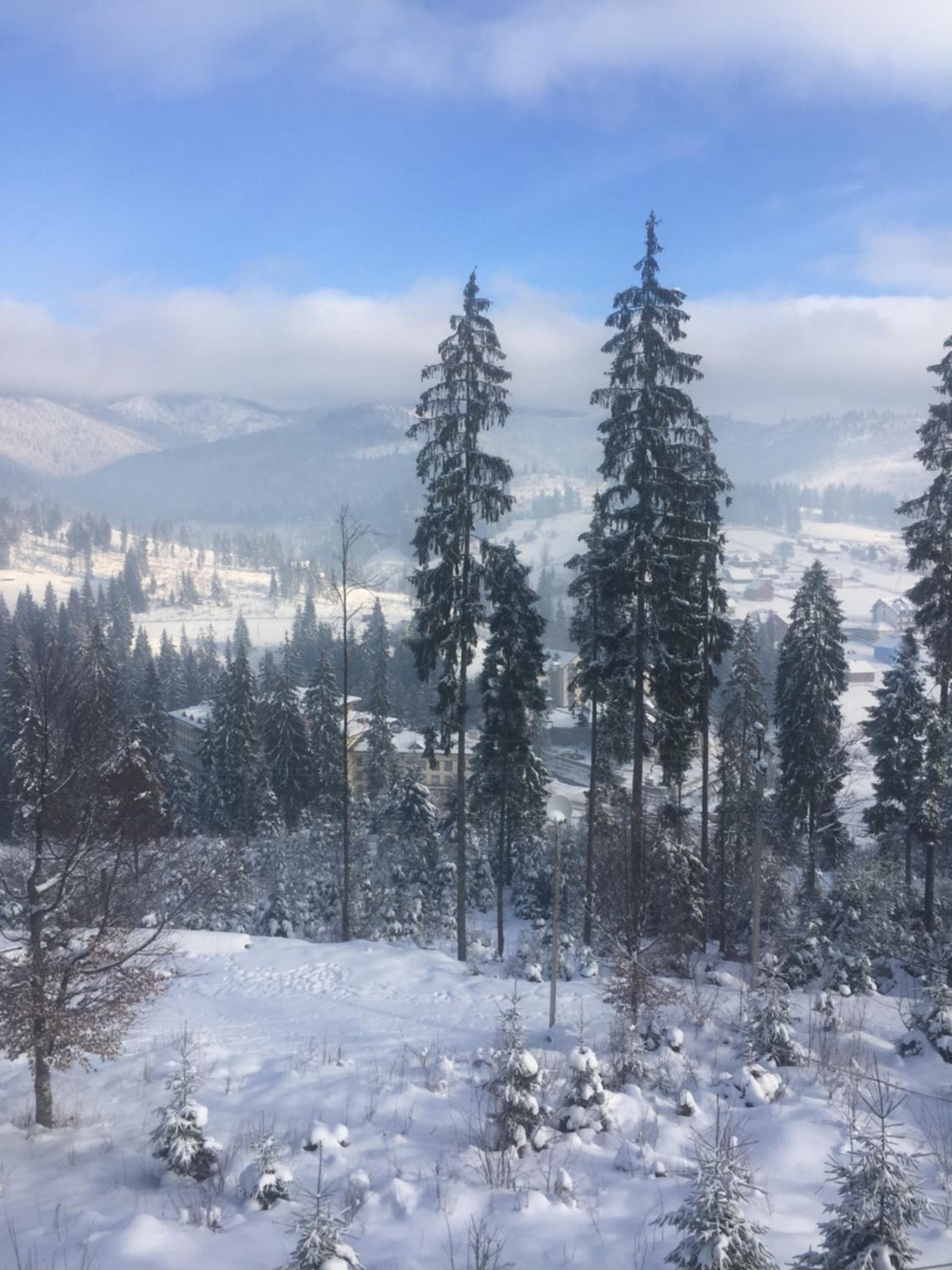 Chalet Shepit Karpat view 3