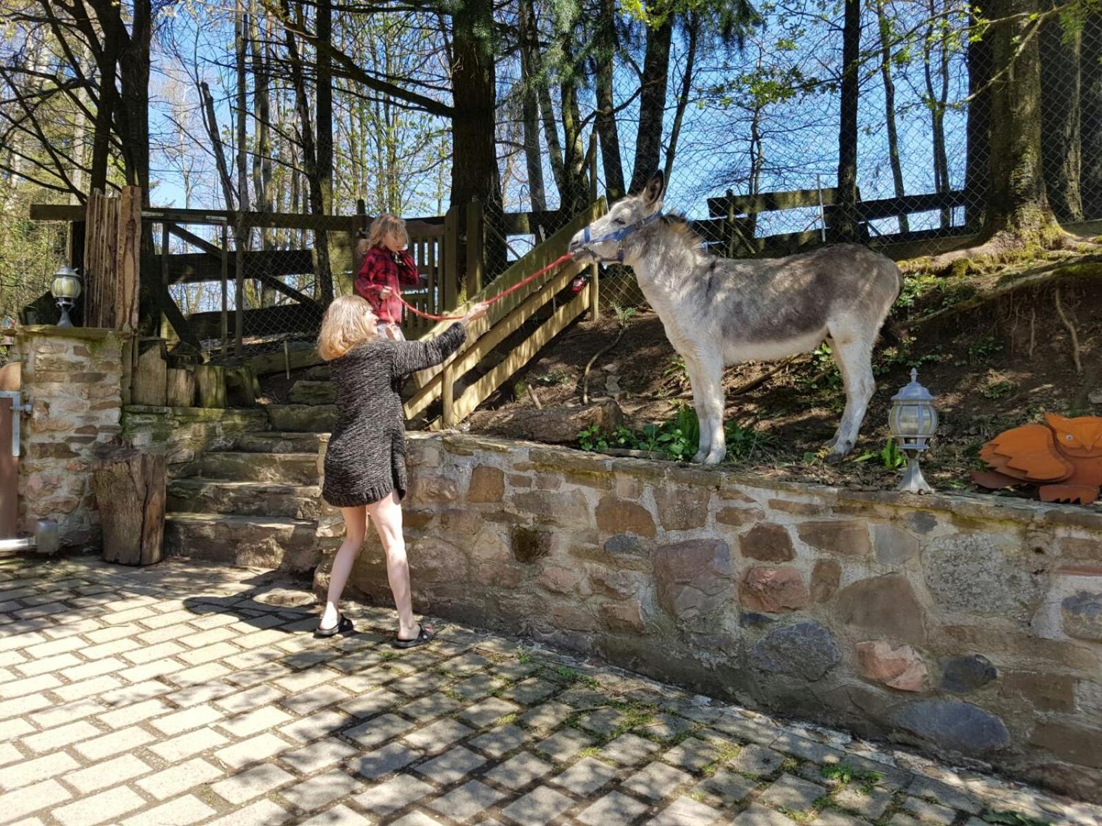 human