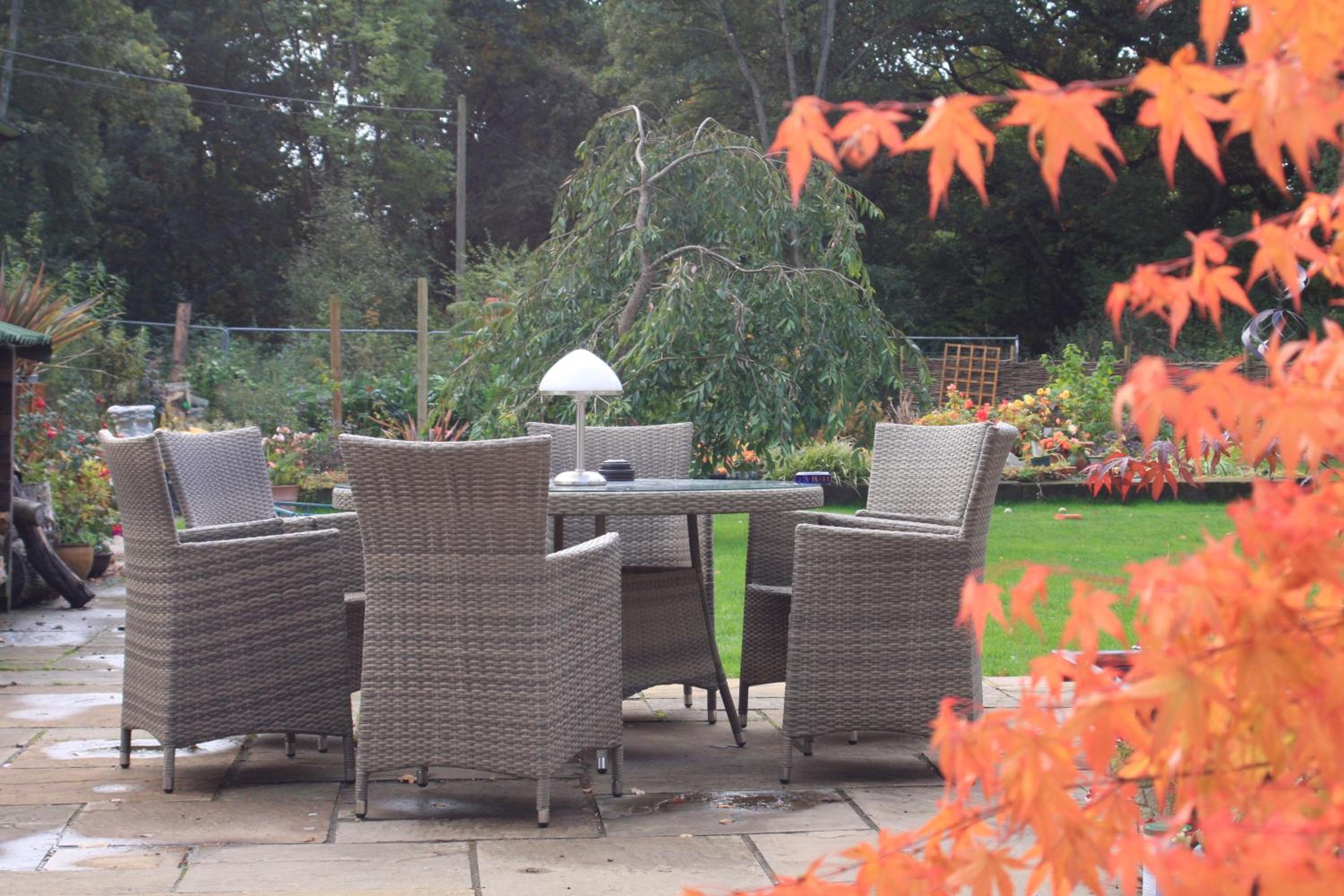 Basingstoke Vacations - West View Lodge - Property Image 13