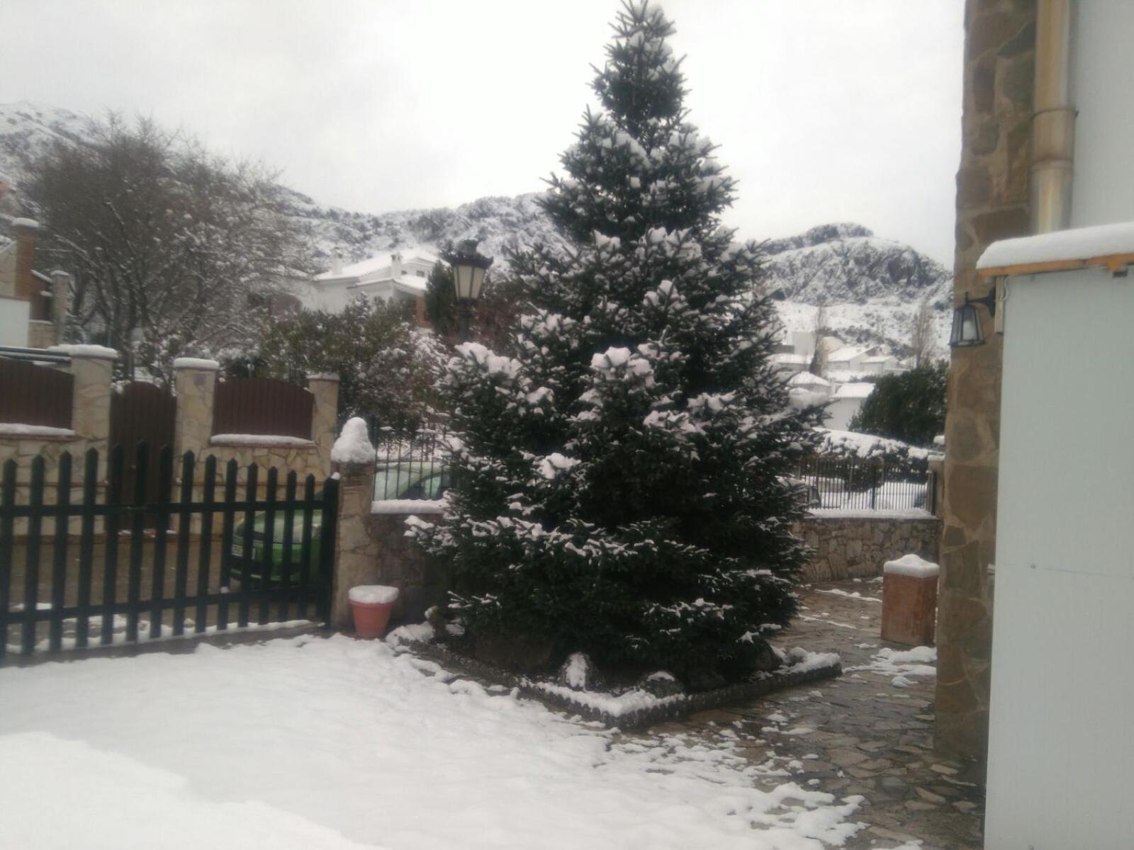 Photo 42