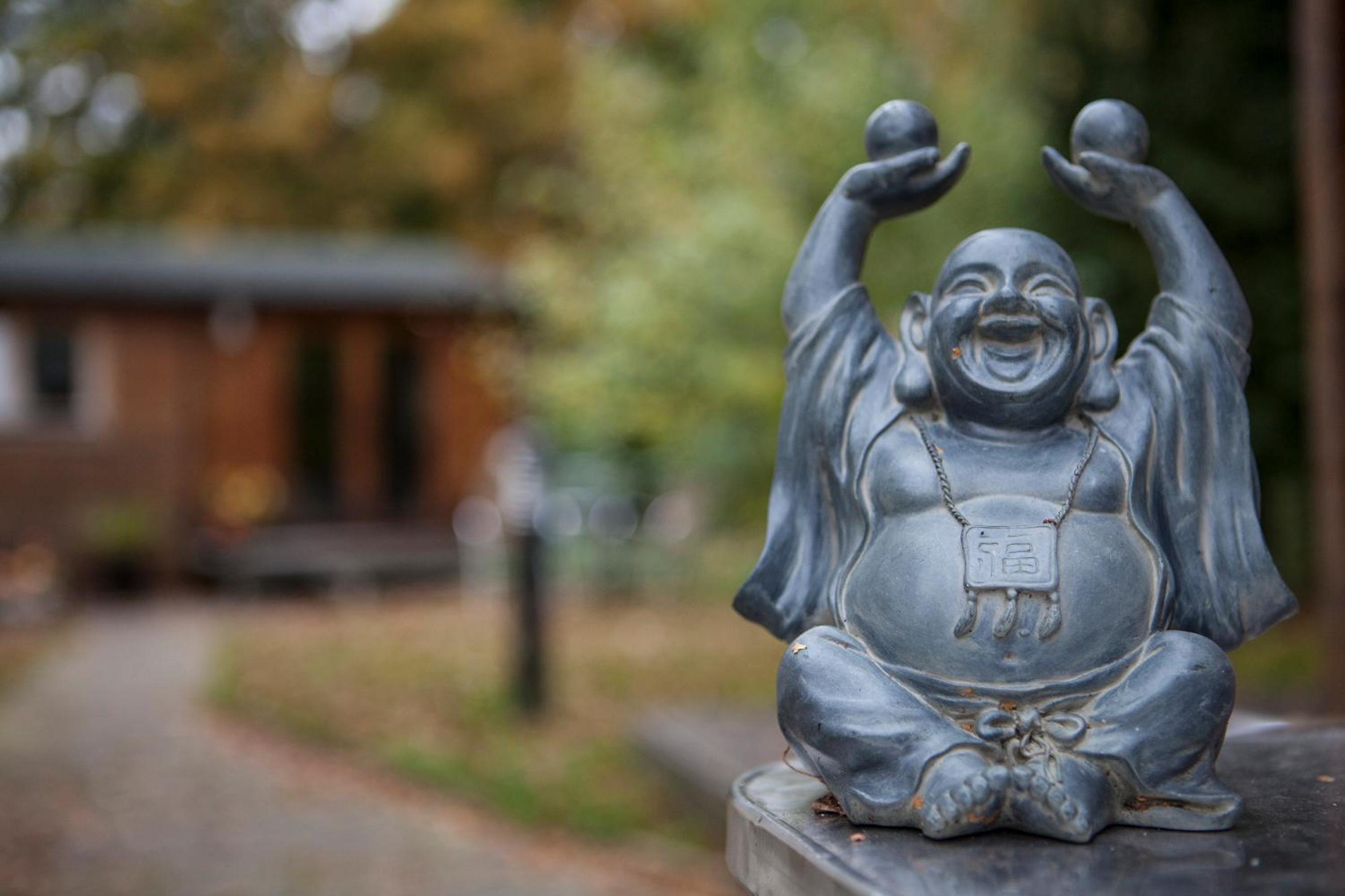 Basingstoke Vacations - West View Lodge - Property Image 4