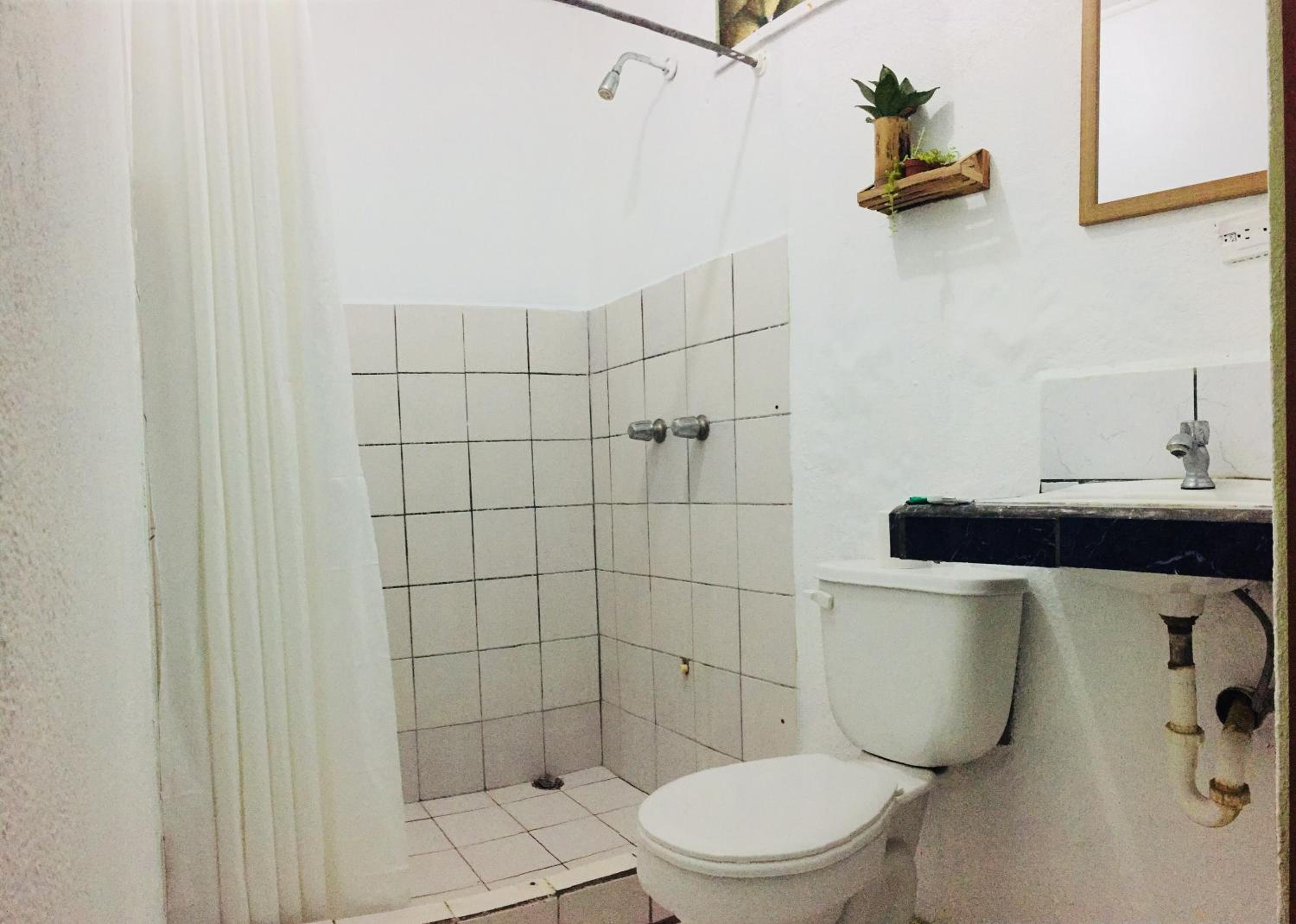 Photo 46