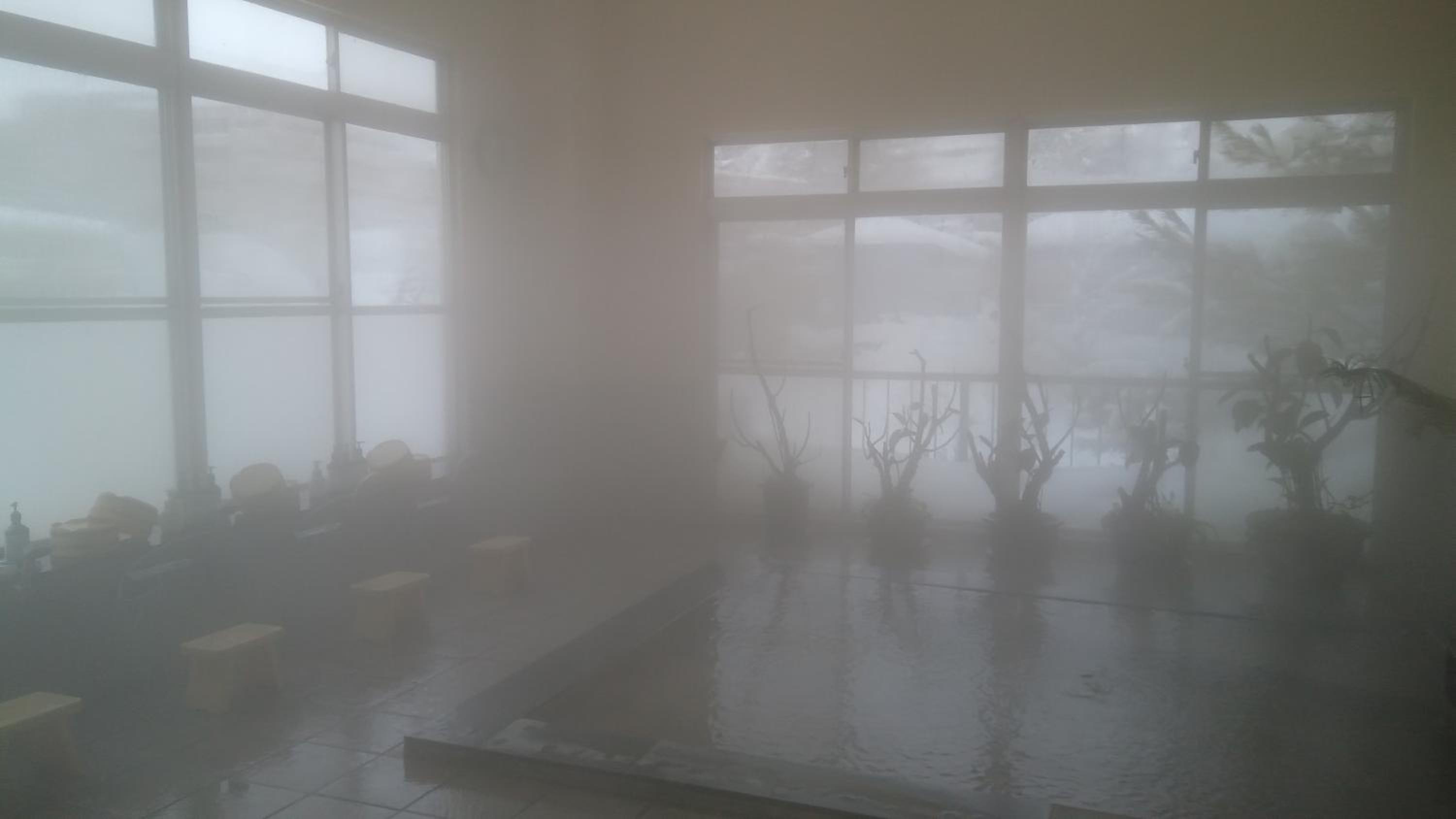 Photo 44