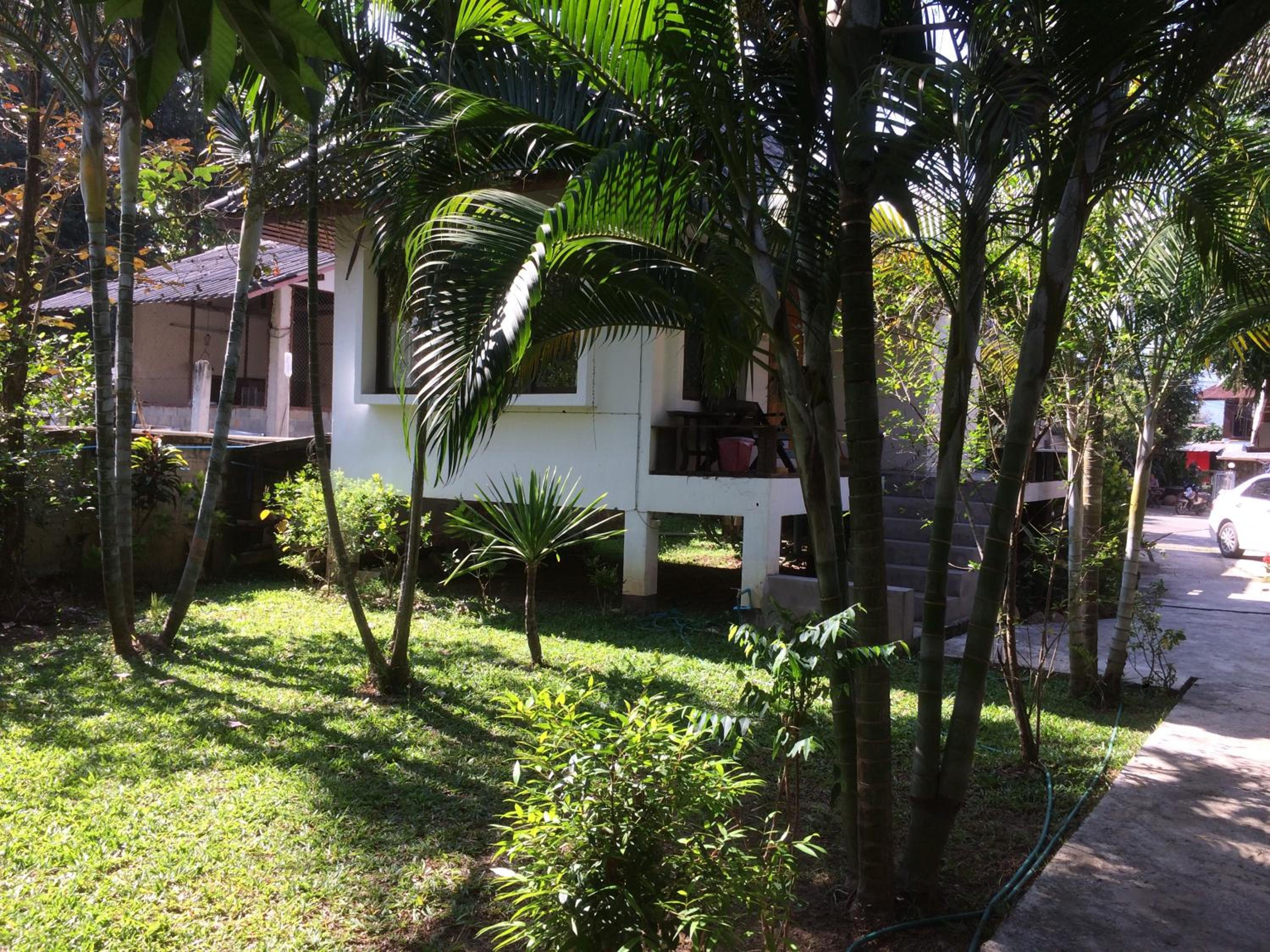 Photo 8