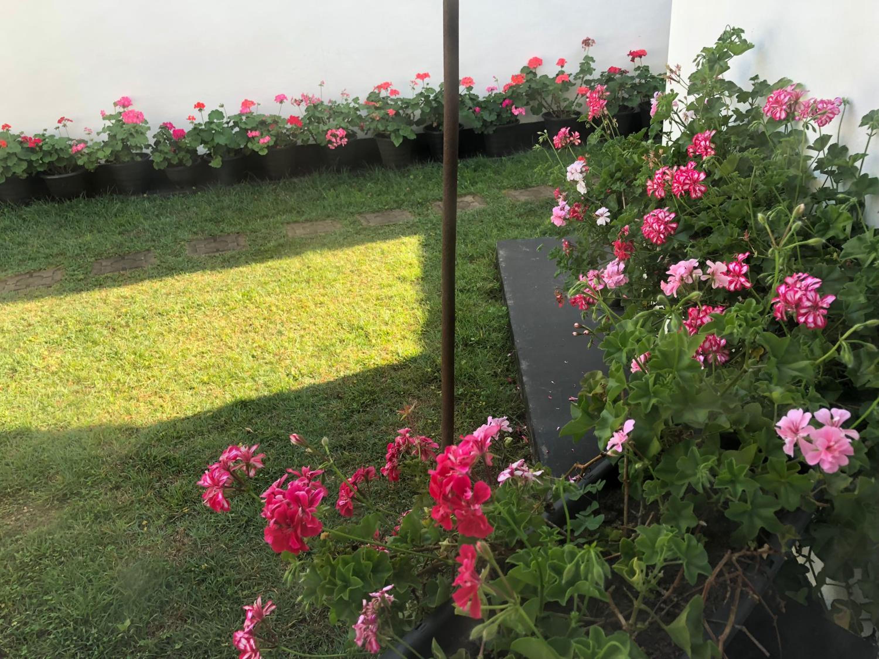Bungalow 28 view 3