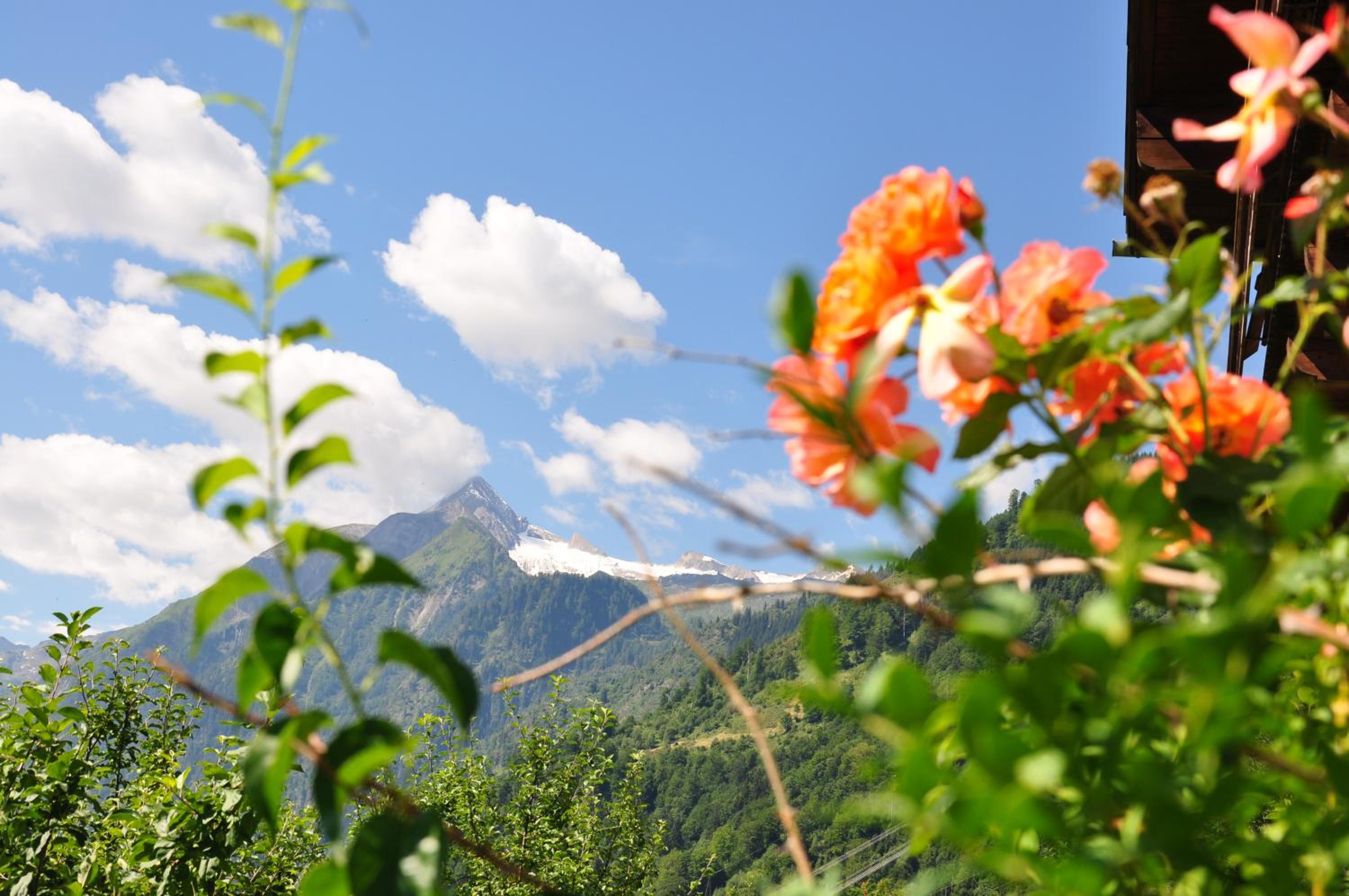 Photo 46