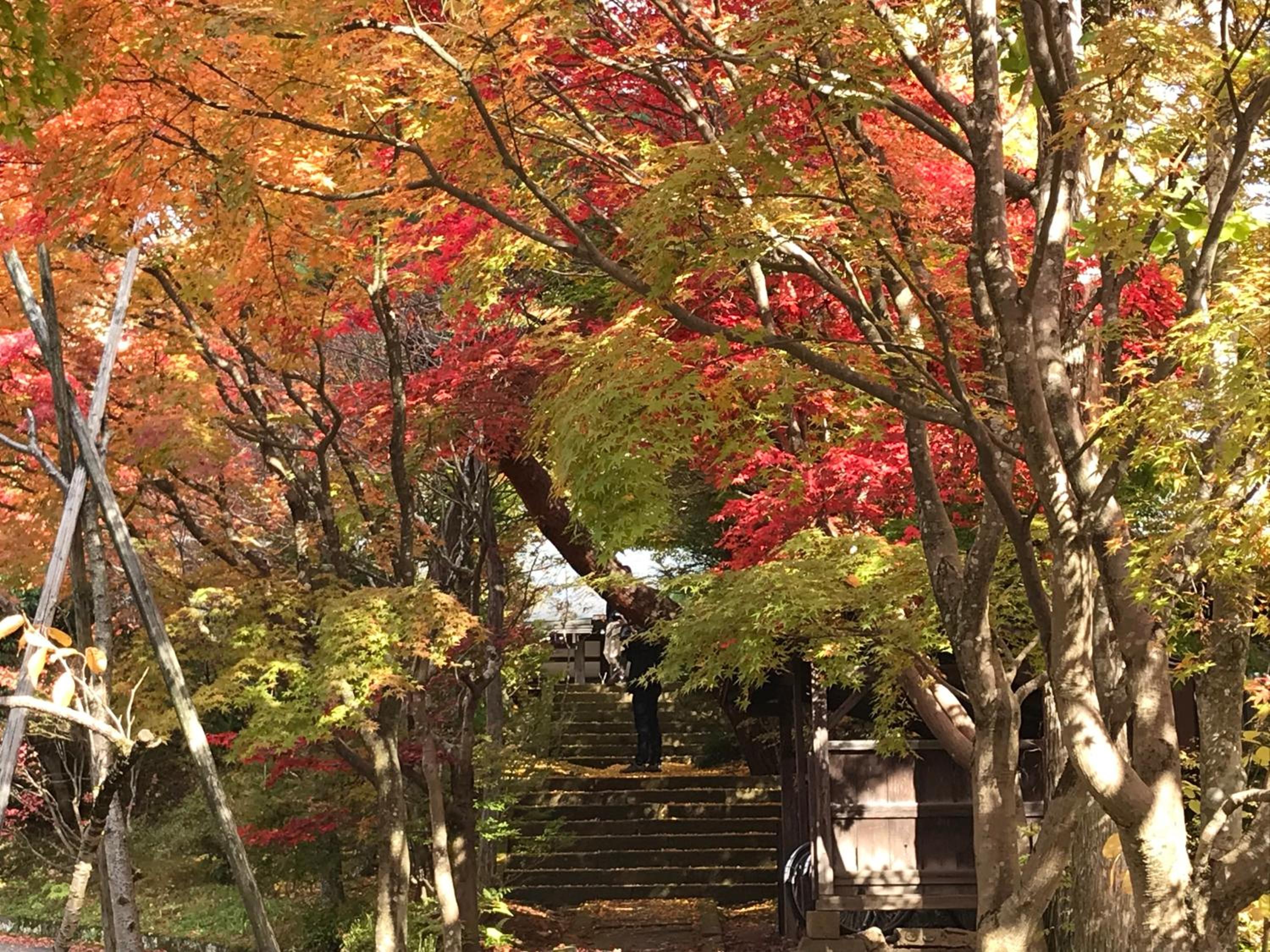Takayama Ninja House