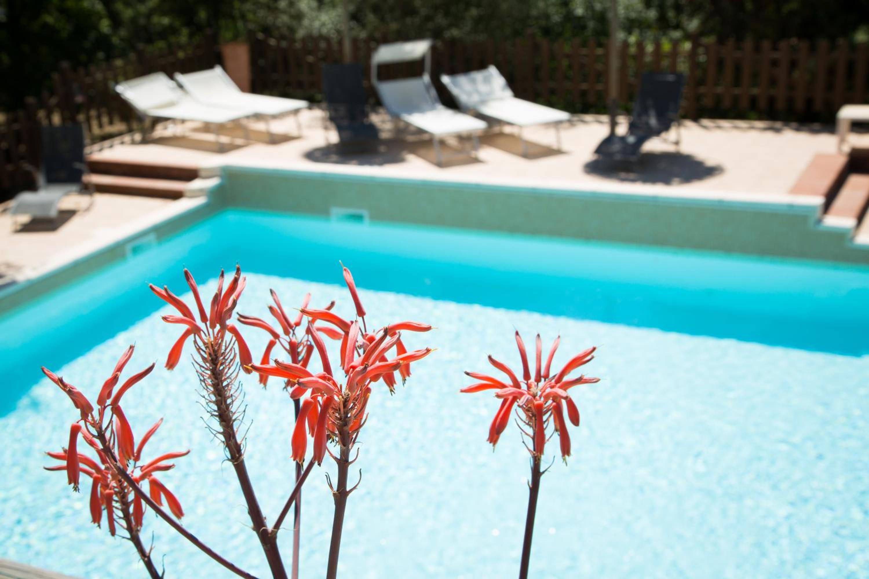 Photo 72