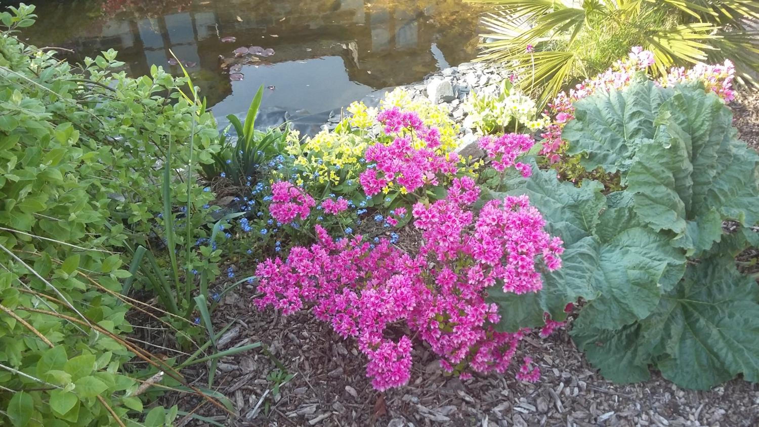 Photo 29