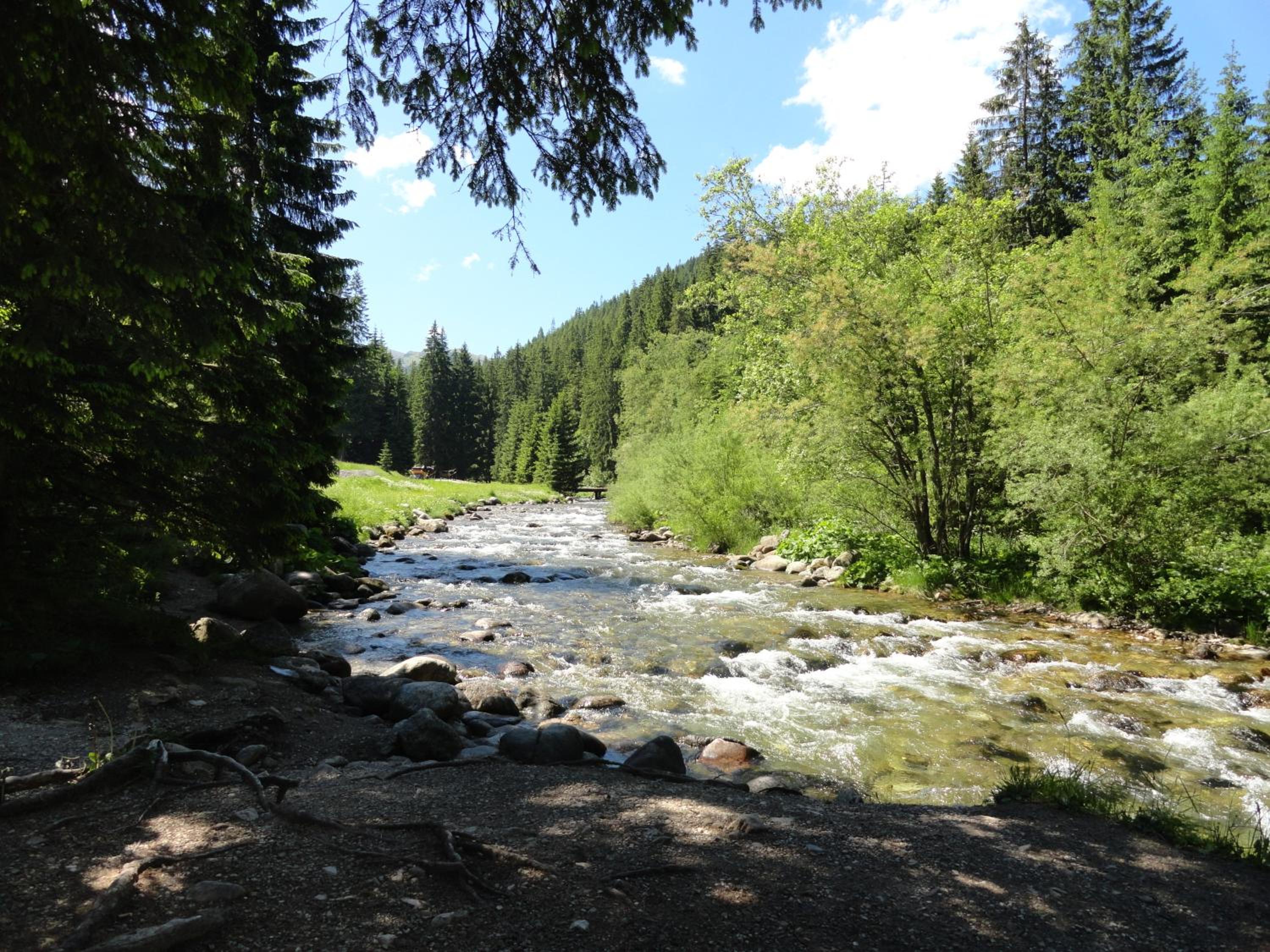 Photo 37