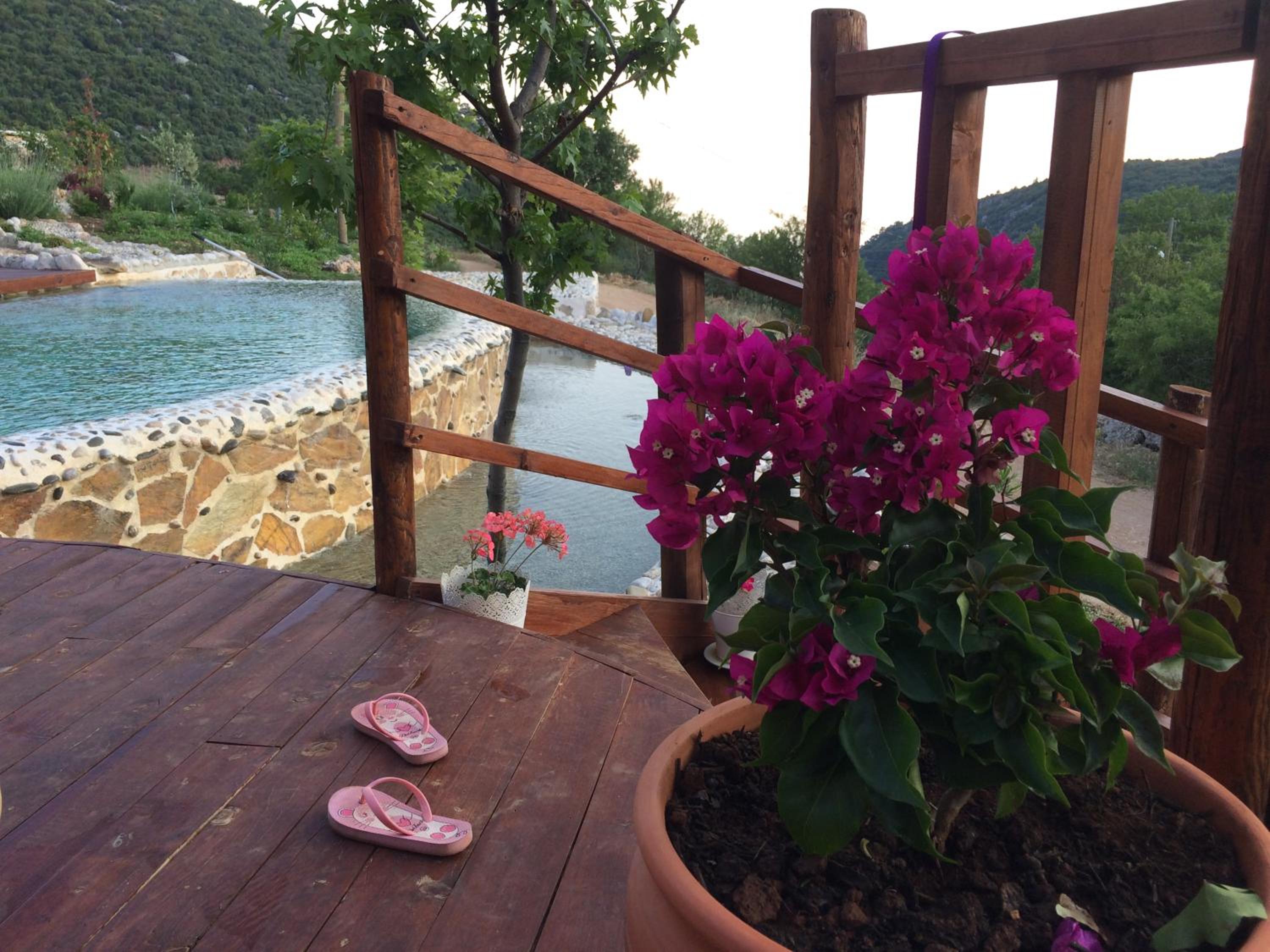 Ambar Evleri