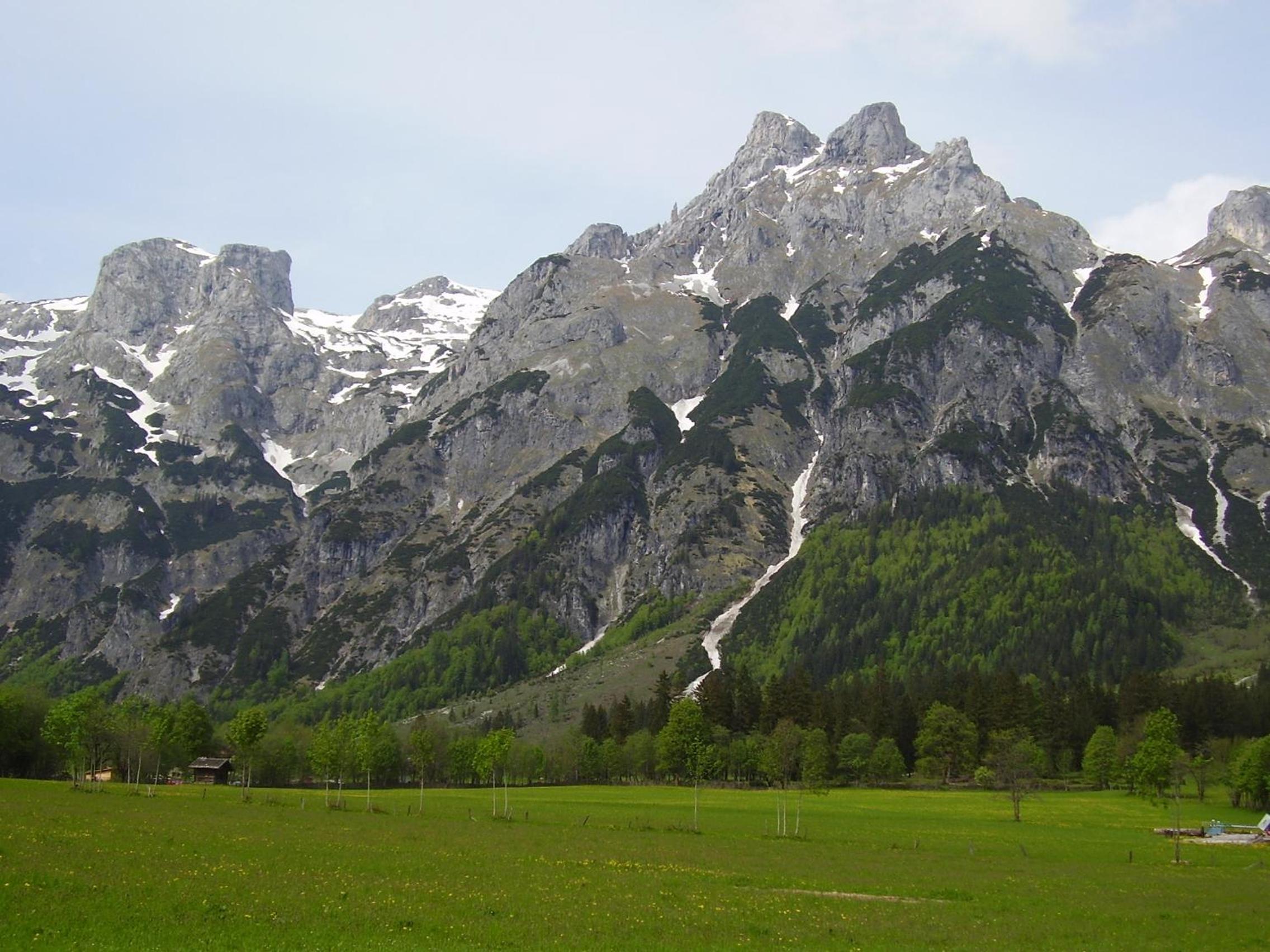 Örglgut