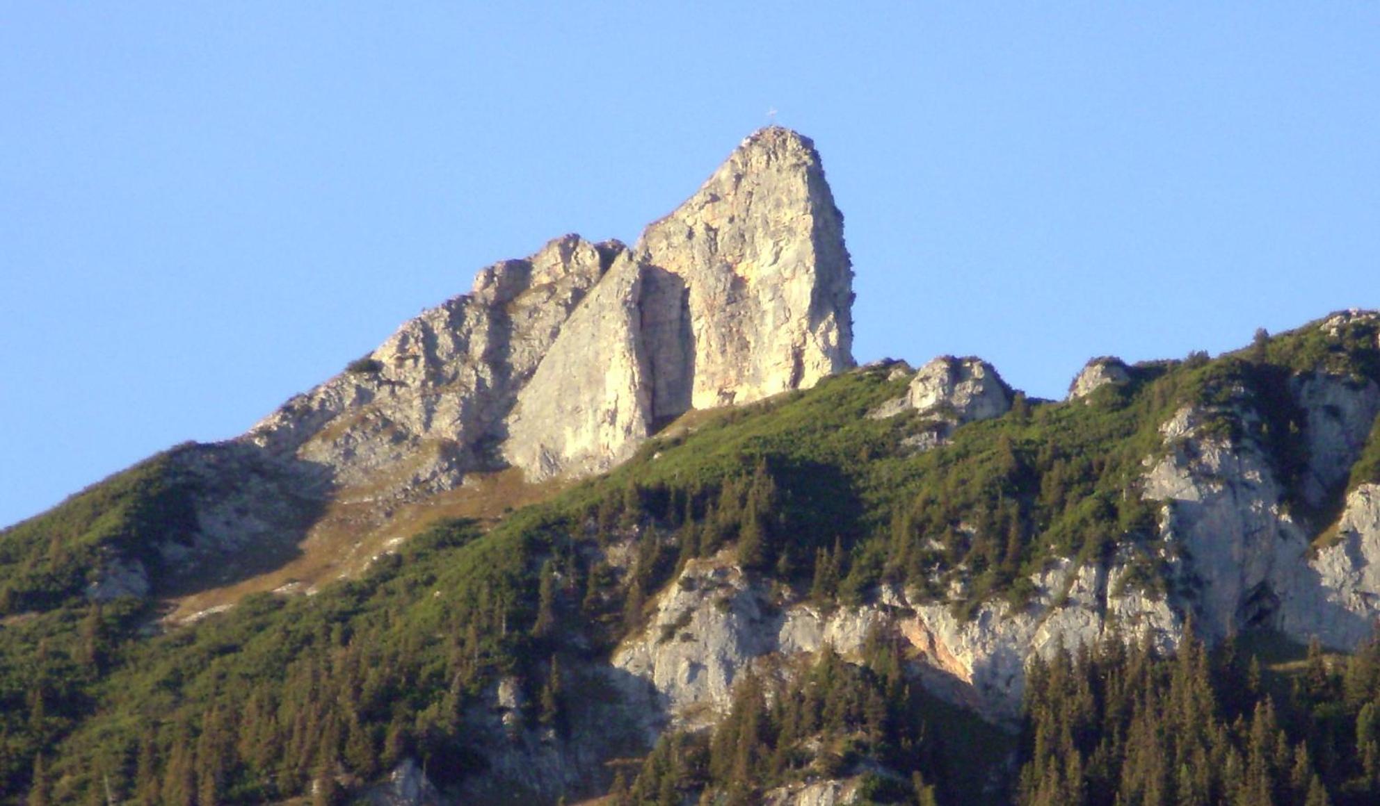 Landhaus Mayr view 5