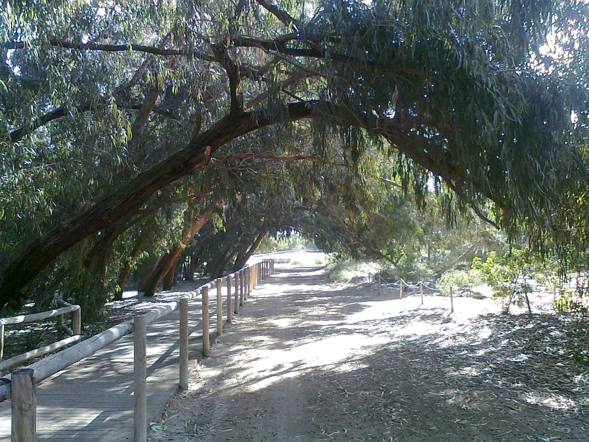 Photo 21