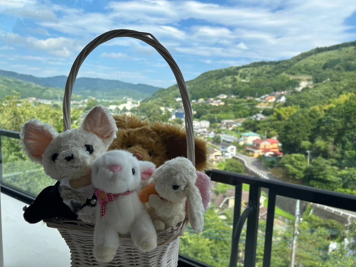 Momijisanso - Vacation STAY 36390v, photo 35