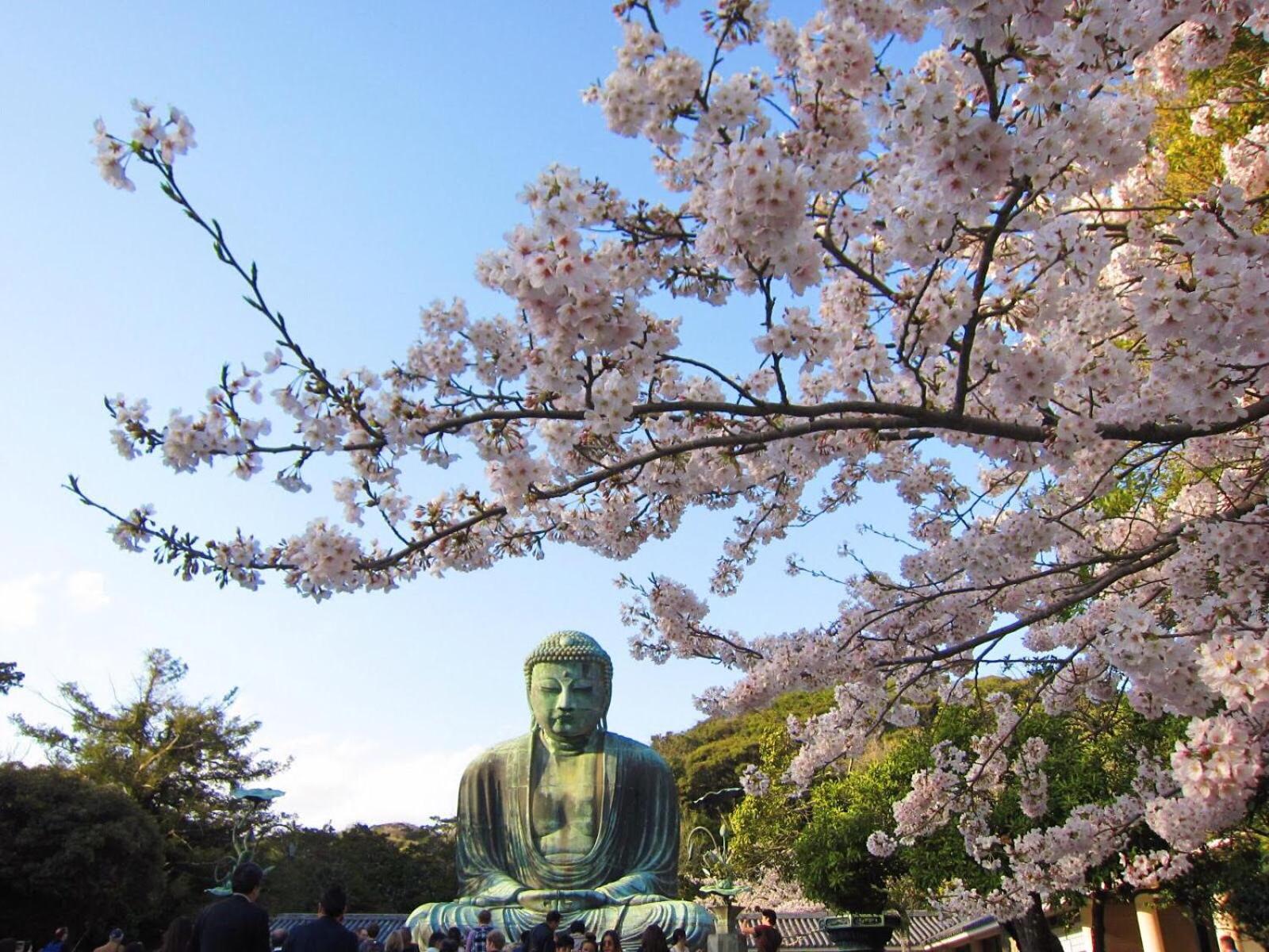 WeBase KAMAKURA