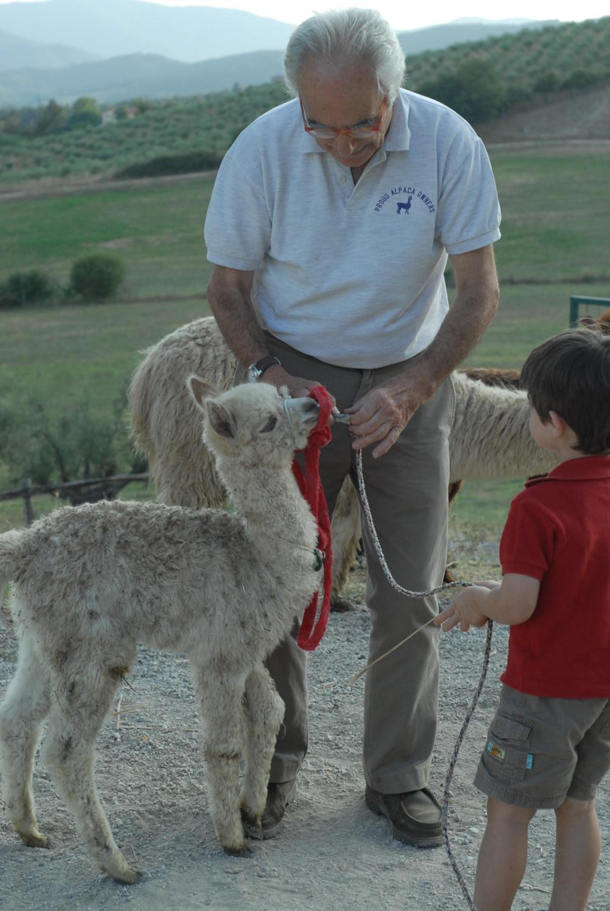 Maridiana Alpaca Country House