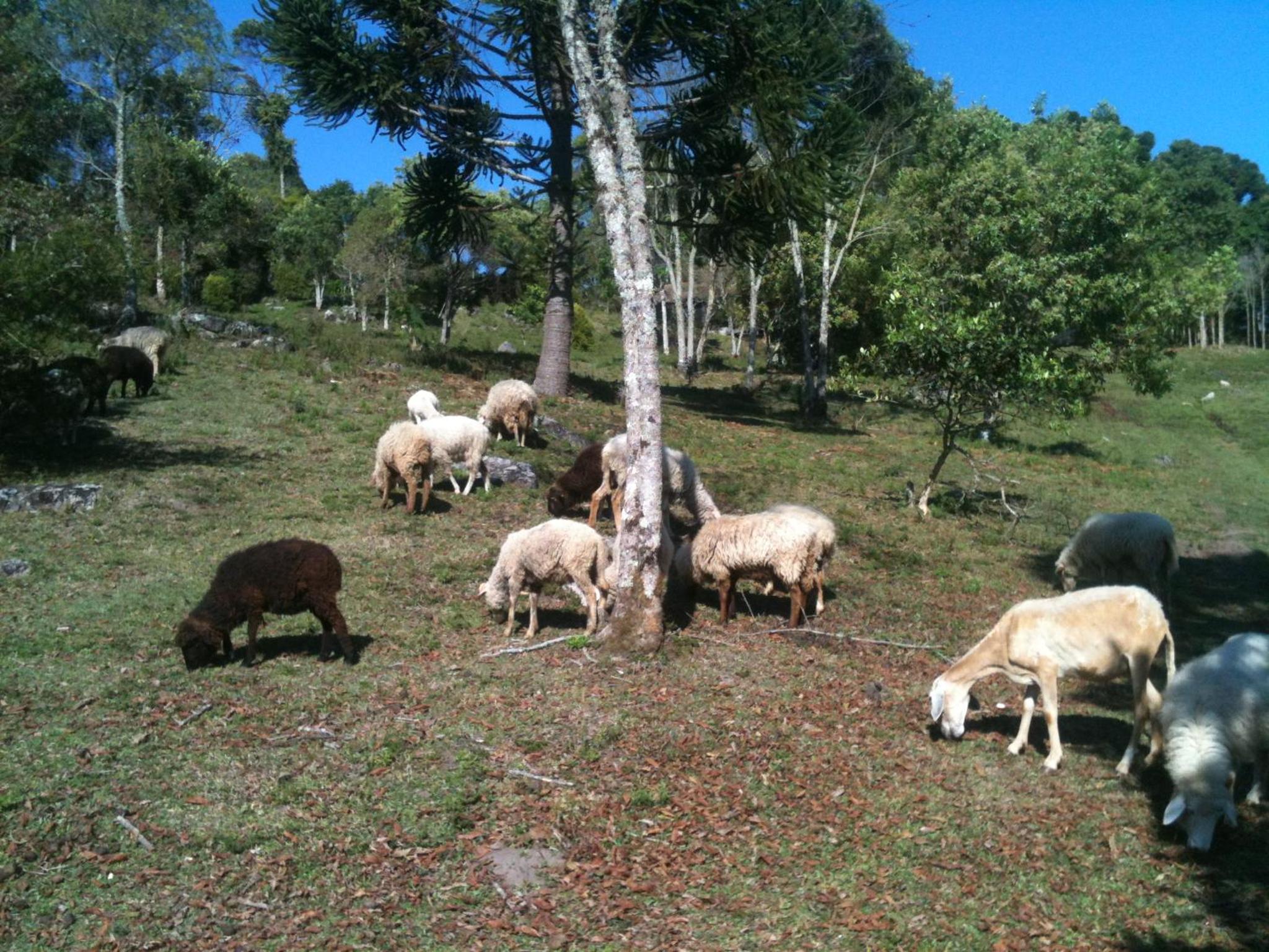 Photo 22