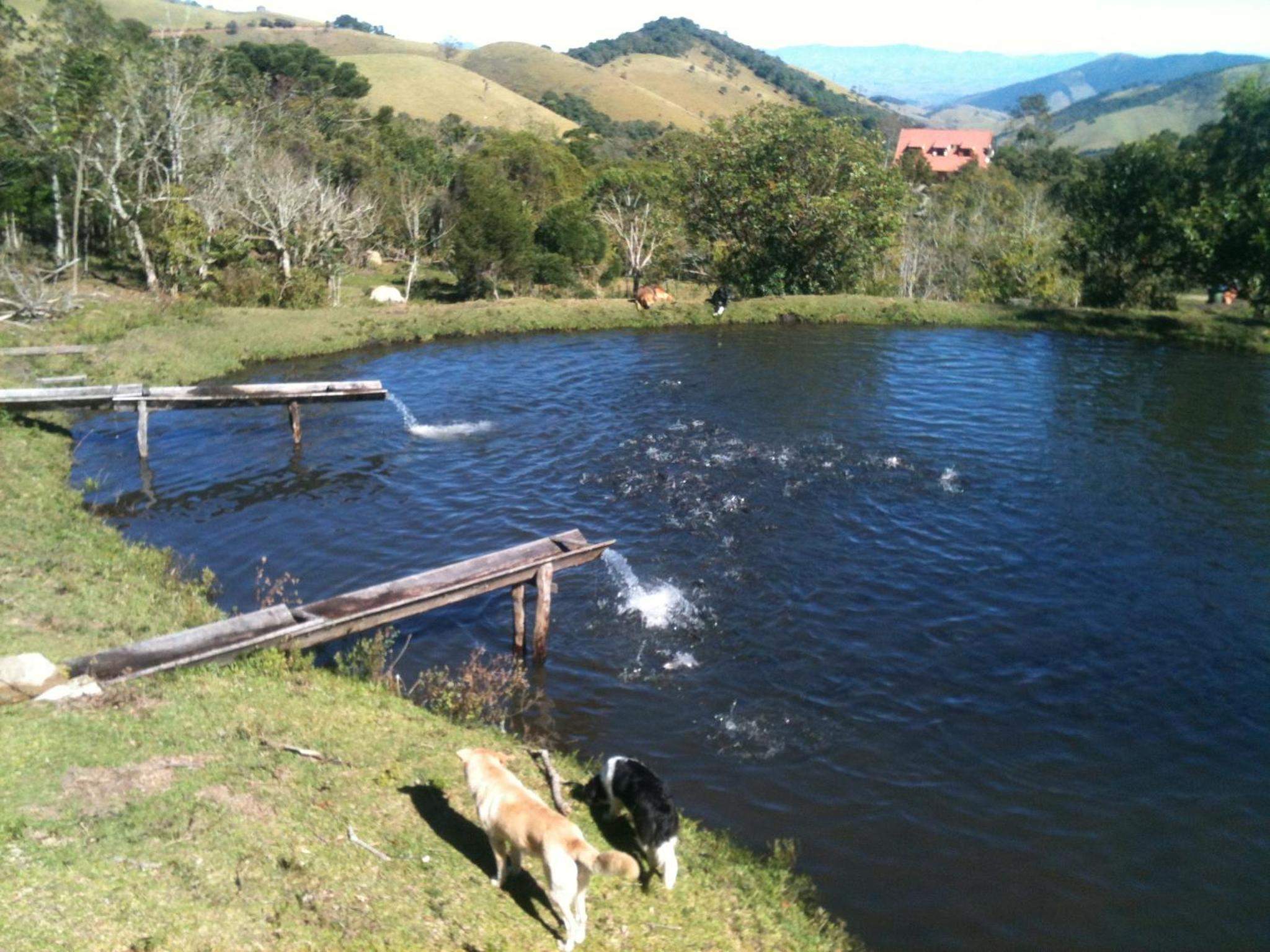 Photo 20