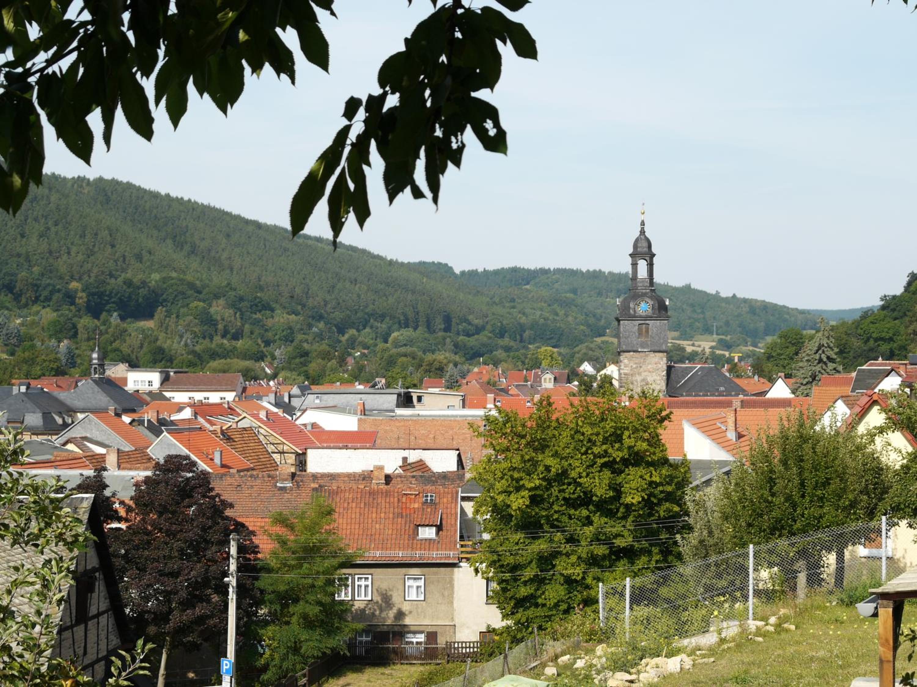 Ferienwohnung Haus "Anna" view 4