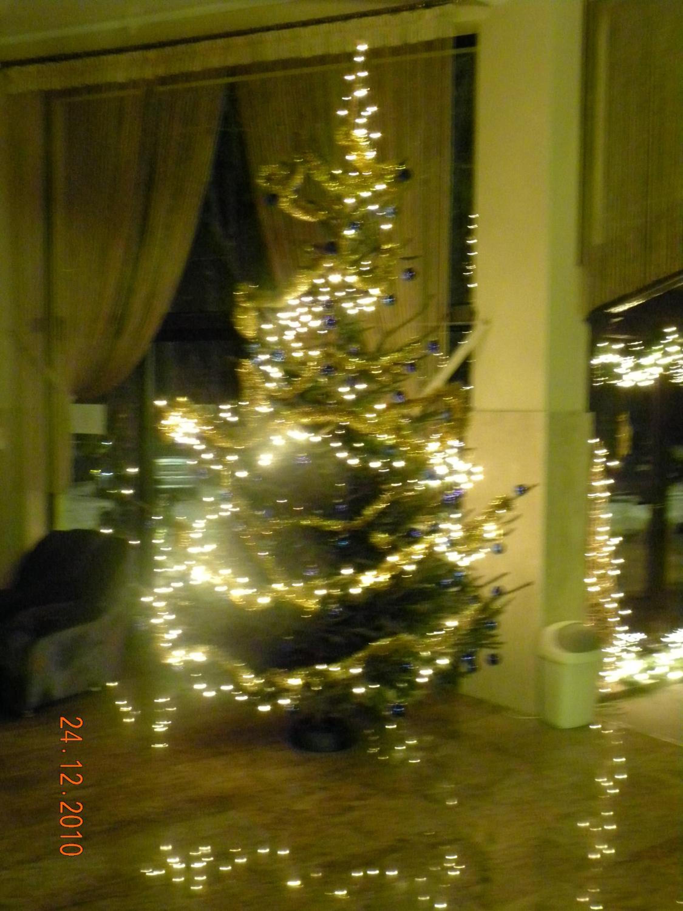 Photo 116