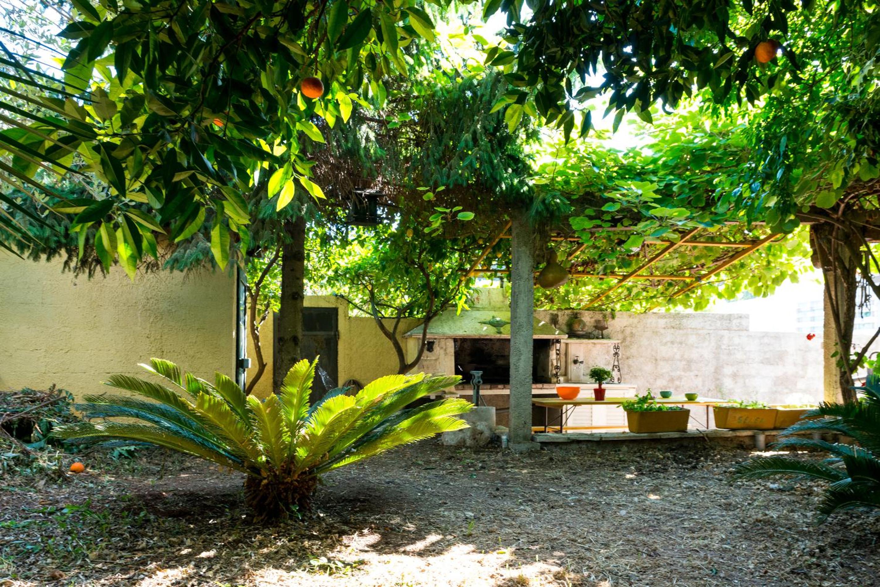 Oasis of peace